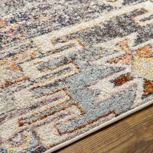 Gray, Beige and Gold Traditional Southwestern Multi size Area Rug - Image 9