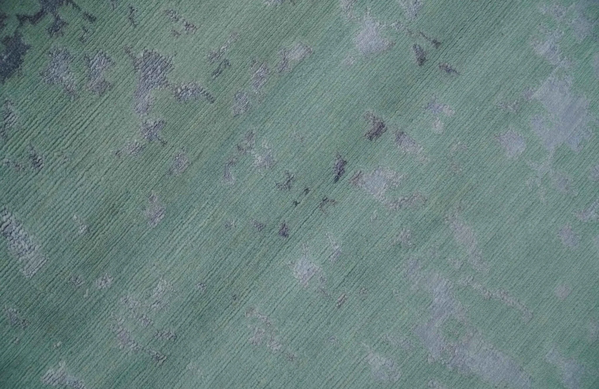Green, Silver, Gray and Charcoal Modern Abstract Hand knotted 6x9 Wool and Viscose area Rug - Image 4