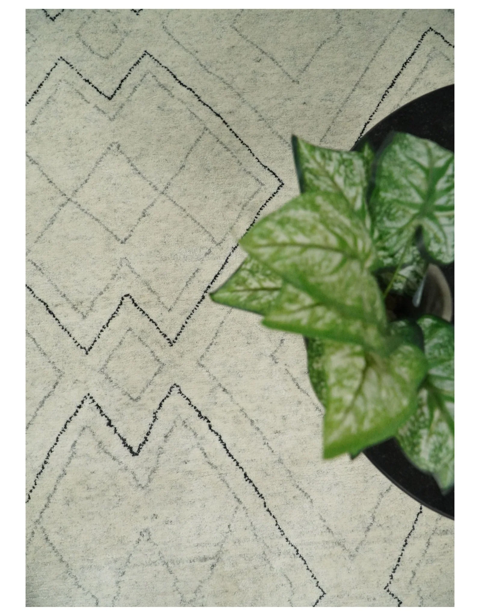Hand Knotted Beige, Gray and Black 8x10 Trellis Moroccan Rug Made with Fine Wool | TRDCP646810 - Image 6