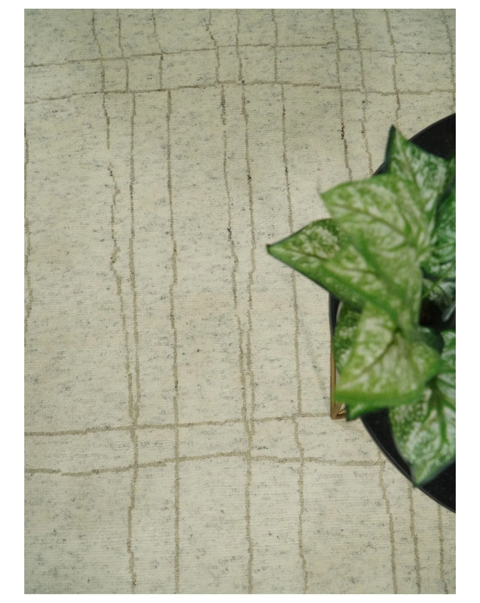 Hand Knotted Ivory and Beige 8x10 Trellis Moroccan Rug Made with Fine Wool | TRDCP645810 - Image 6