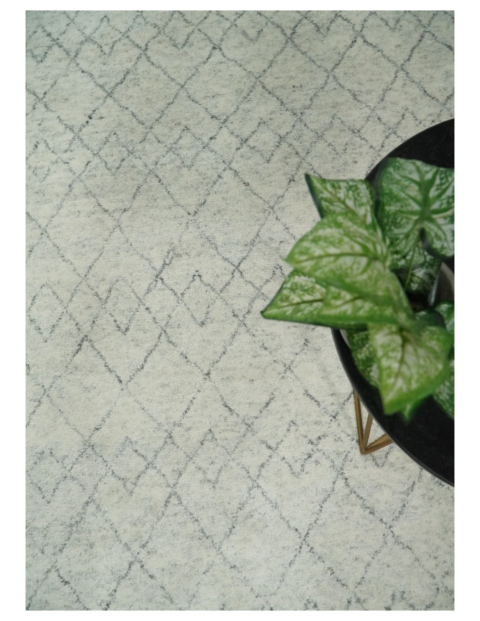 Hand Knotted Ivory and Gray 8x10 and 9x12 Trellis Moroccan Rug Made with Fine Wool | TRDCP647 - Image 10