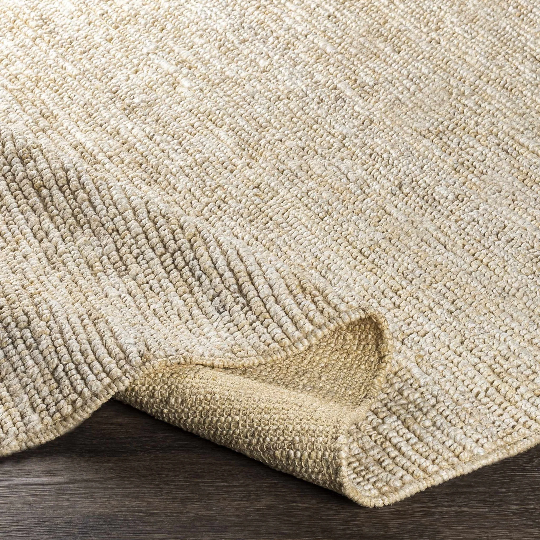 Hand Woven Ivory Modern Style Braided Jute Carpet - Image 4