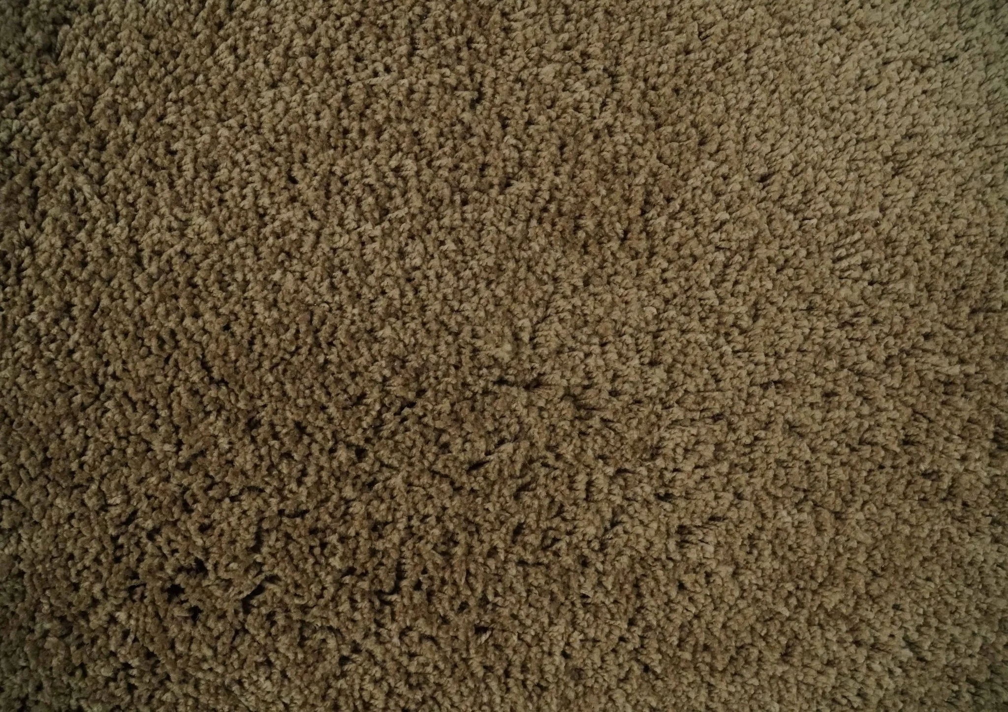 3x5, 4X6 and 5x7 Hand Woven Shag Olive Art Silk Soft Viscose Area Rug - Image 4