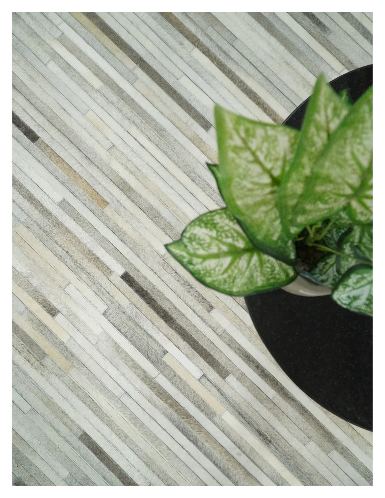 Flatweave Hairon Genuine Leather 5x8, 8x10 and 9x12 Stripe Design Beige and Ivory Area Rug | LR18 - Image 6