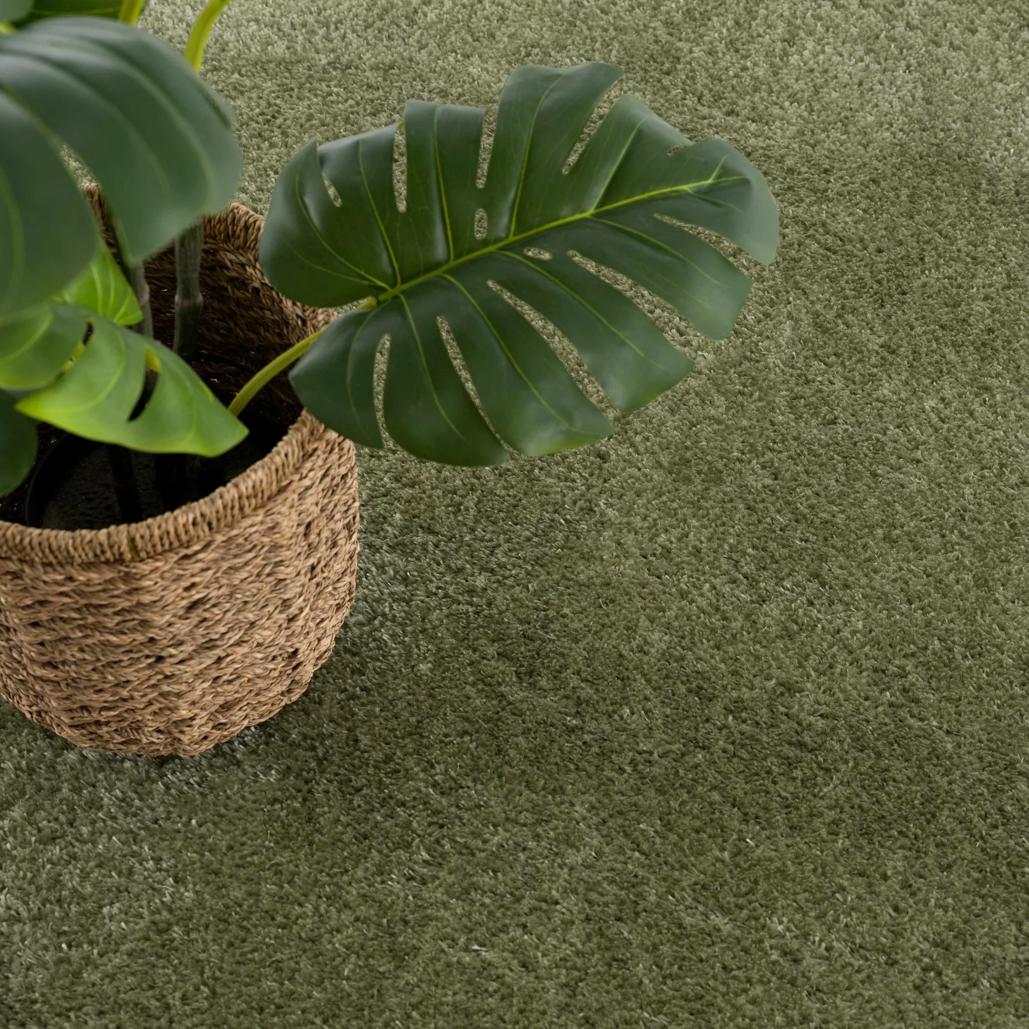 Modern Solid plush High pile Light olive green area rug - Image 10