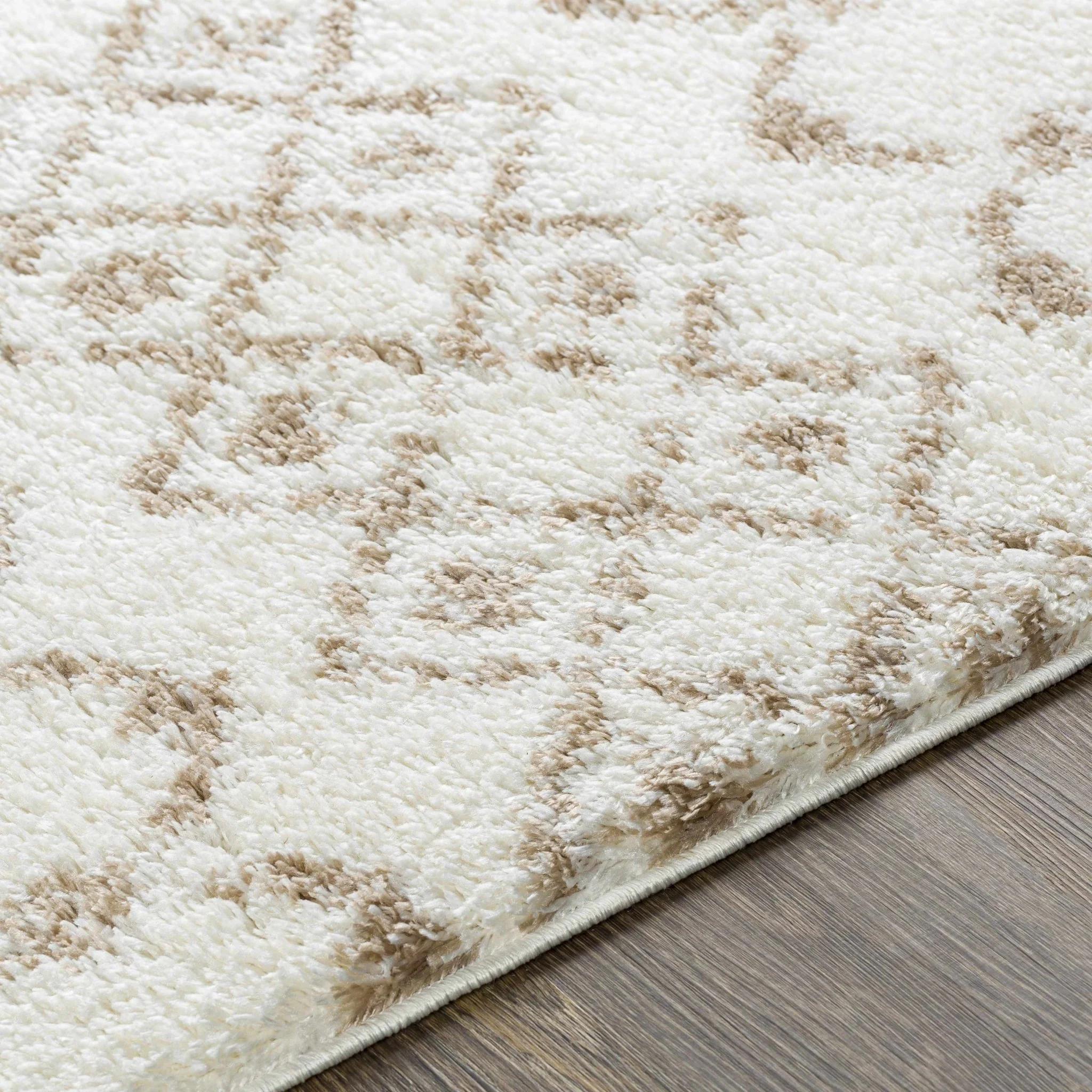 Ivory and Camel Traditional Tribal Design area rug - Image 4
