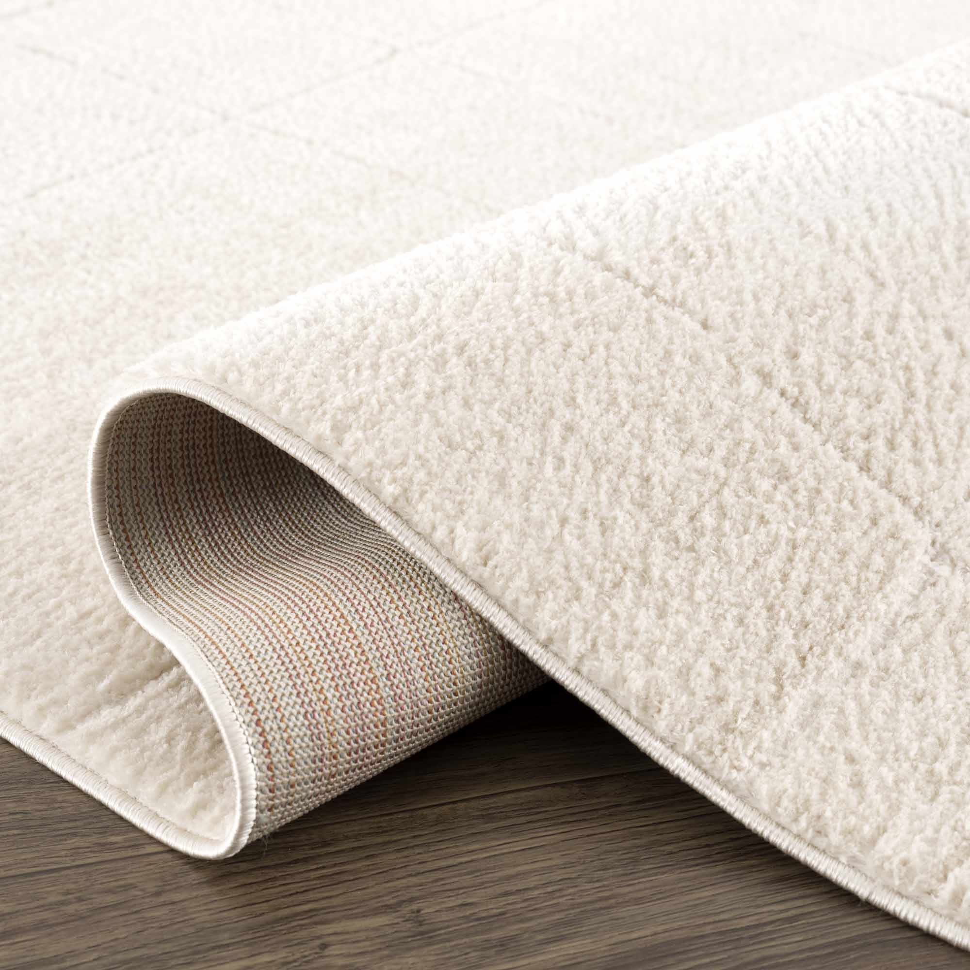 Ivory Contemporary Style Area Rug - Image 16