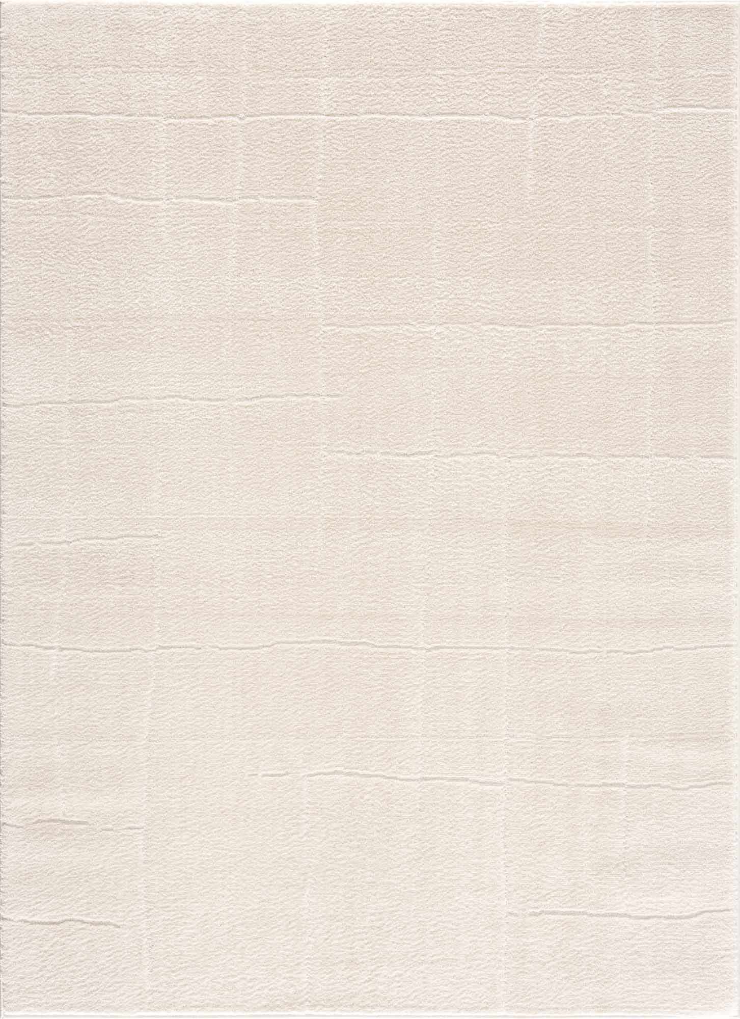 Ivory Contemporary Style Area Rug - Image 2