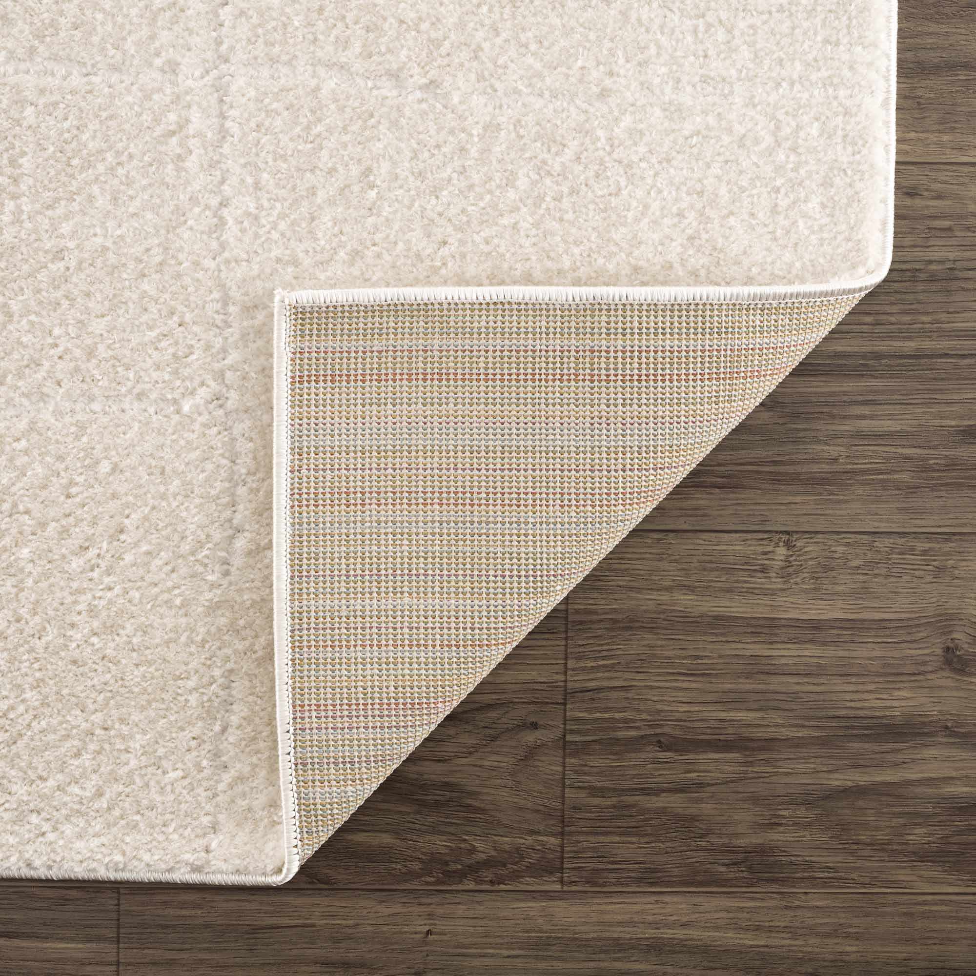 Ivory Contemporary Style Area Rug - Image 5