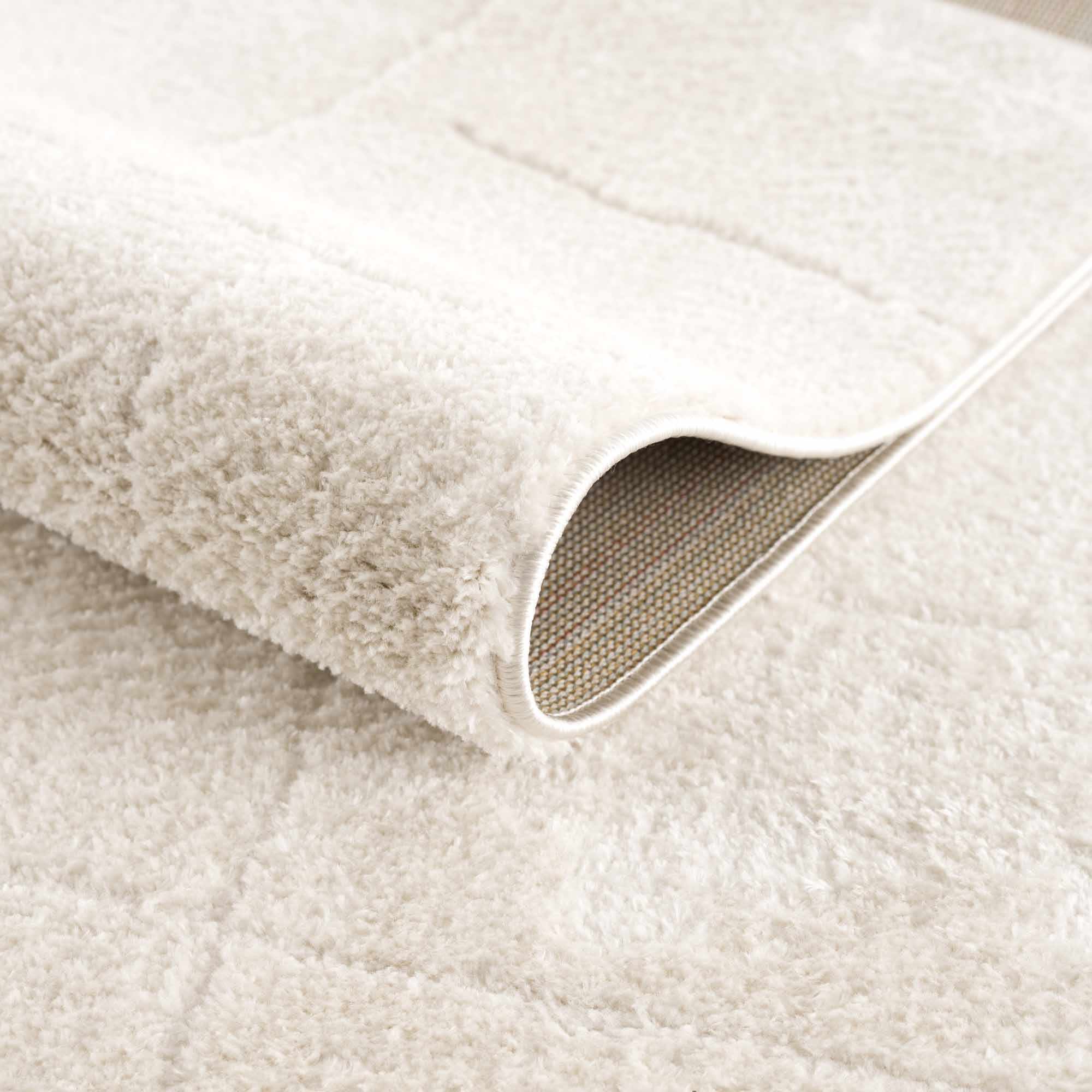 Ivory Contemporary Style Area Rug - Image 6