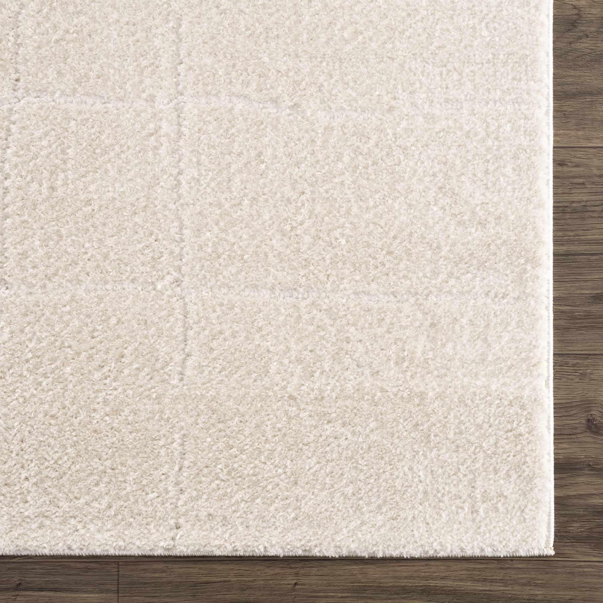 Ivory Contemporary Style Area Rug - Image 8