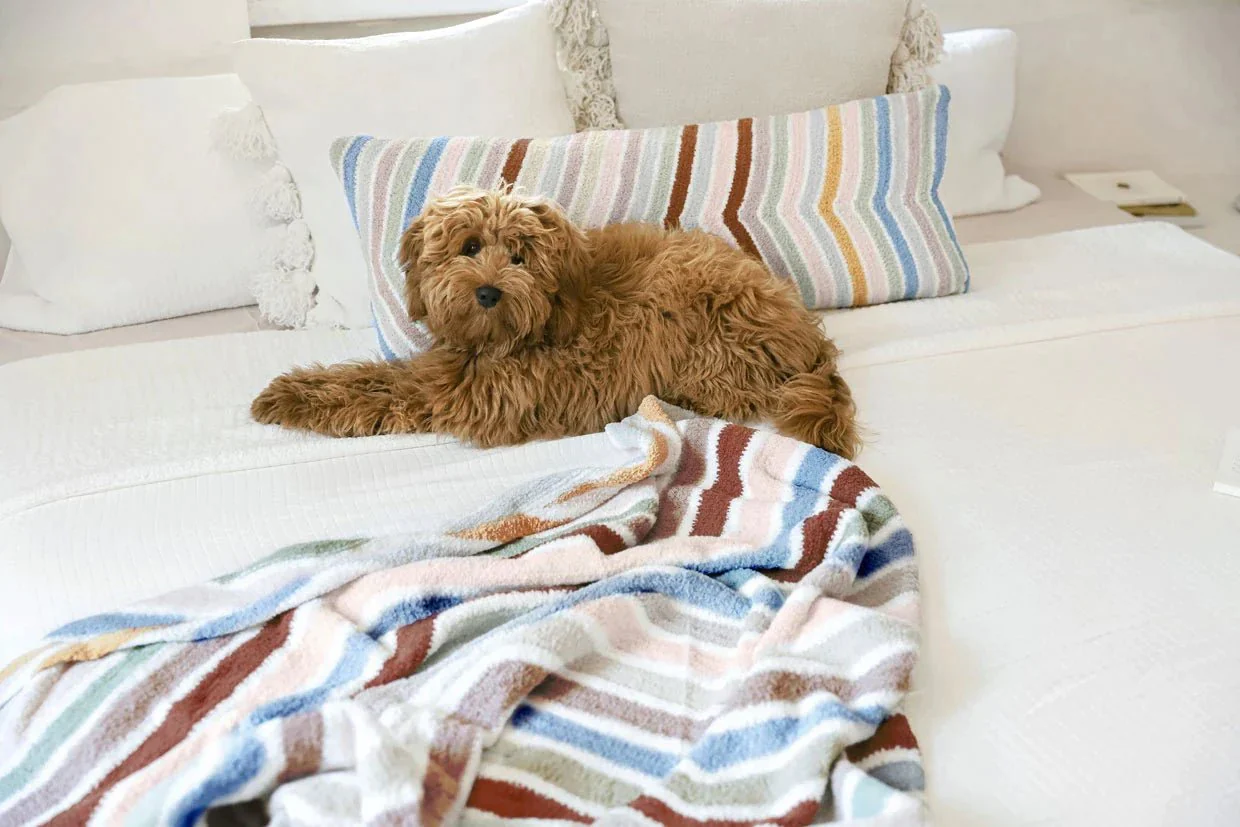 Lightweight, Cozy, and Modern Stripes  Chevron Throw Blanket - Image 9