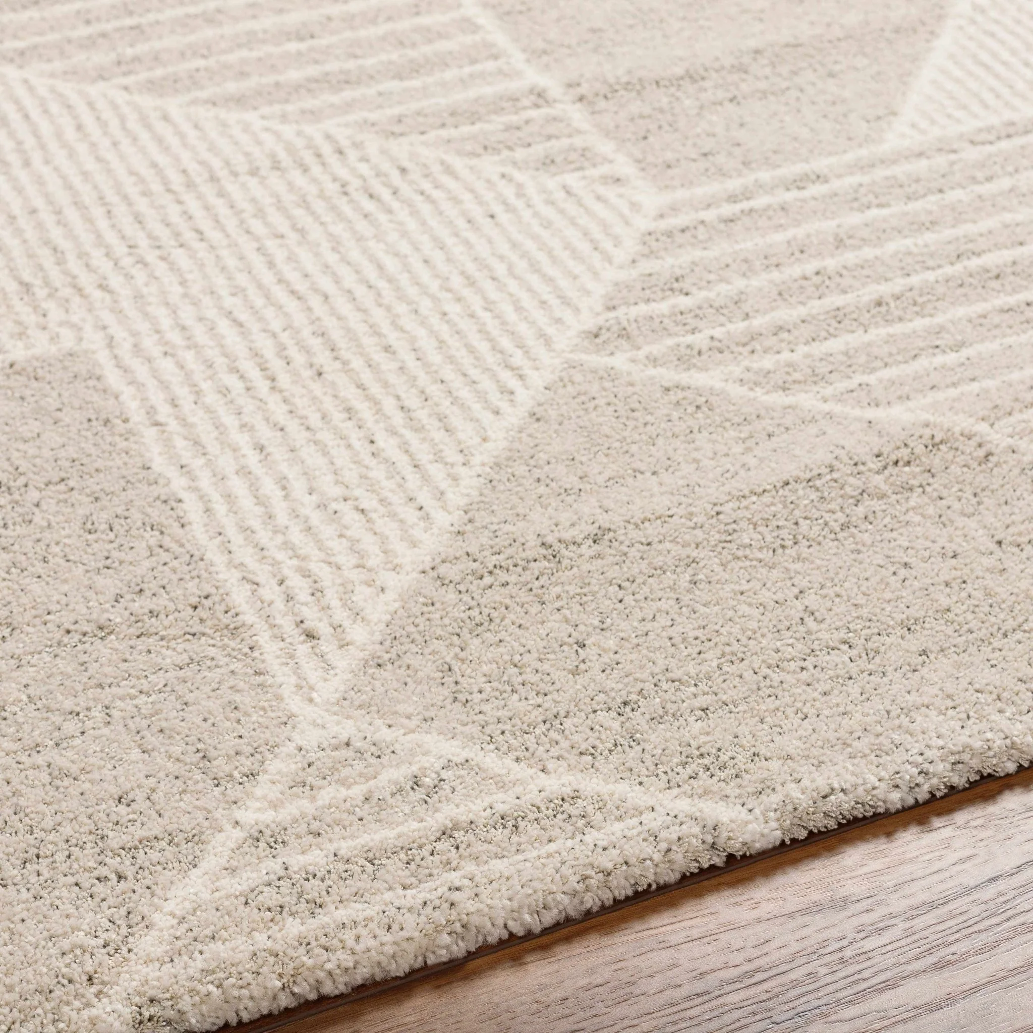 Machine Woven Beige Contemporary Style Rug - Image 4