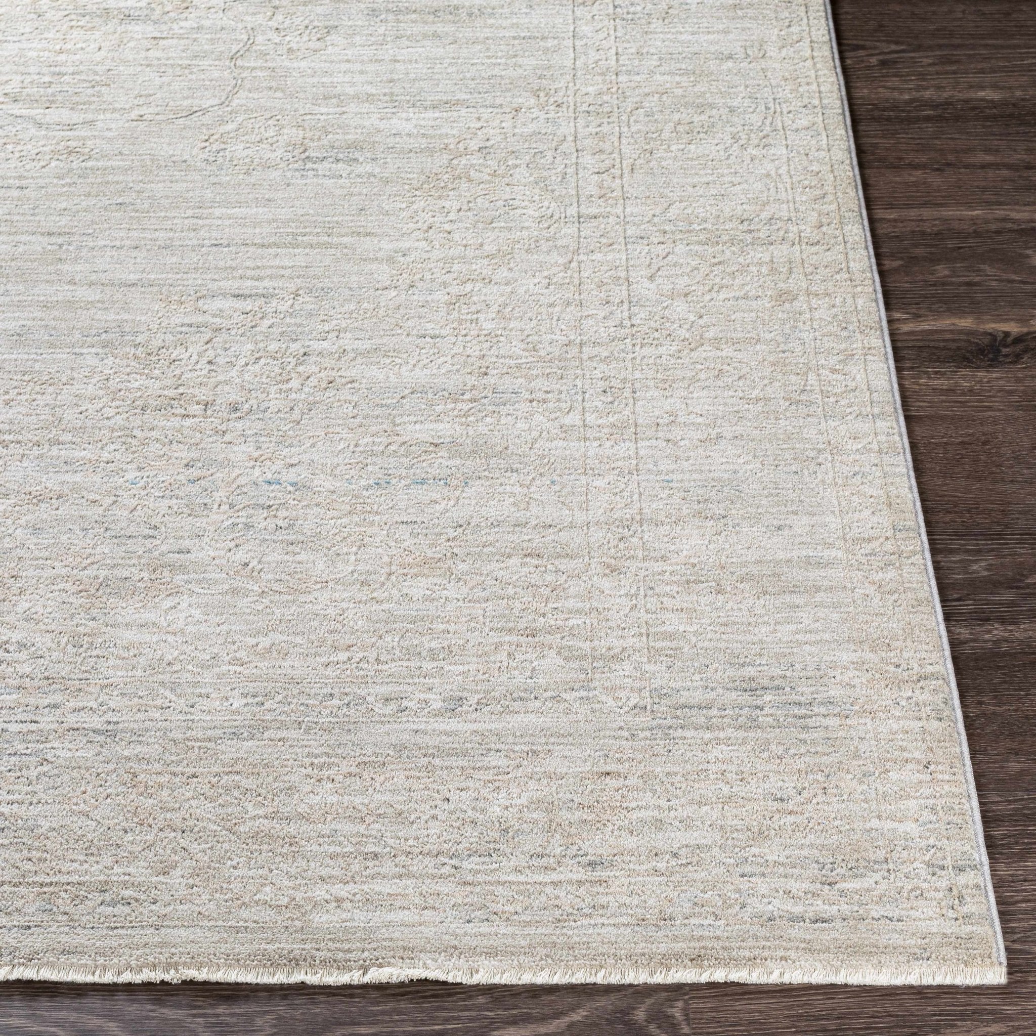 Machine Woven Transitional Style Taupe, Gray Rug - Image 5