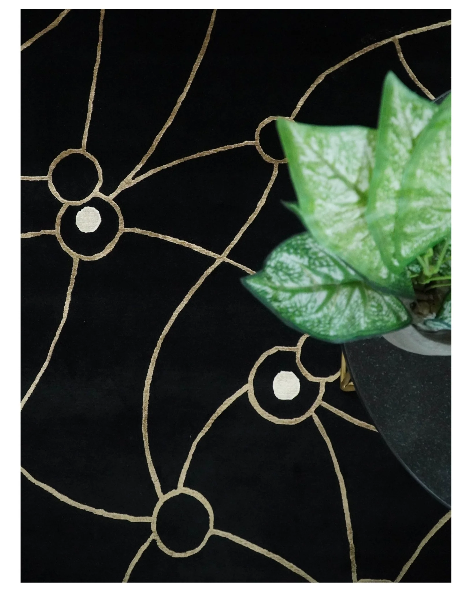 Modern 6x8 Black and Gold Wool and Silk Hand Woven Rug | HL3 - Image 6