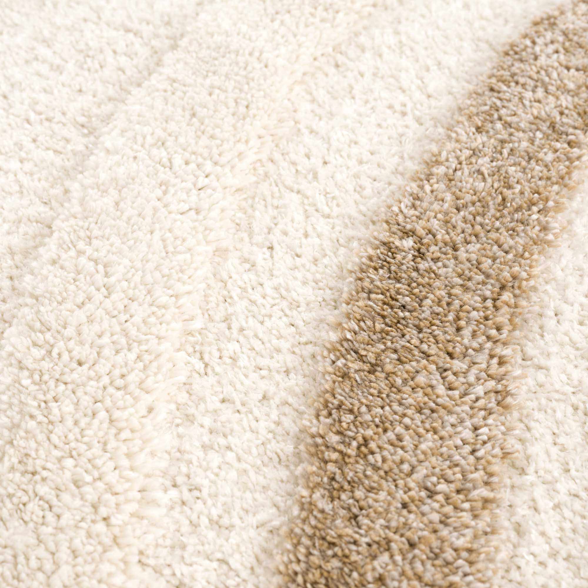 Modern Texture Brown and Ivory Design Area Rug - Image 8