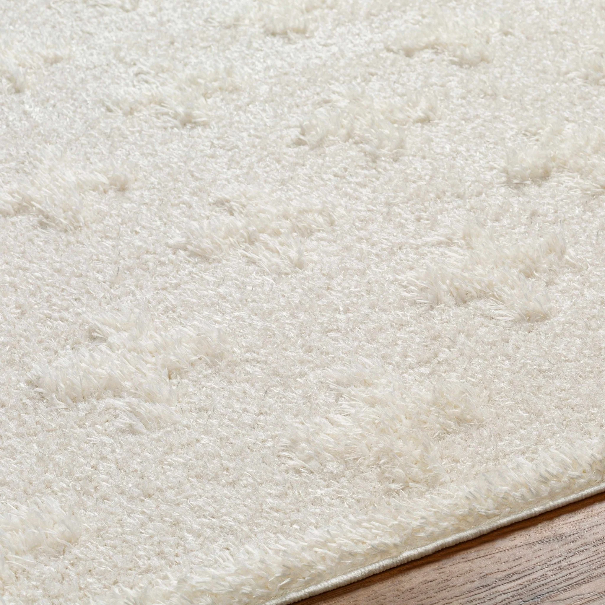 Modern Contemporary Beige Geometric pattern Machine Woven Area Rug - Image 5