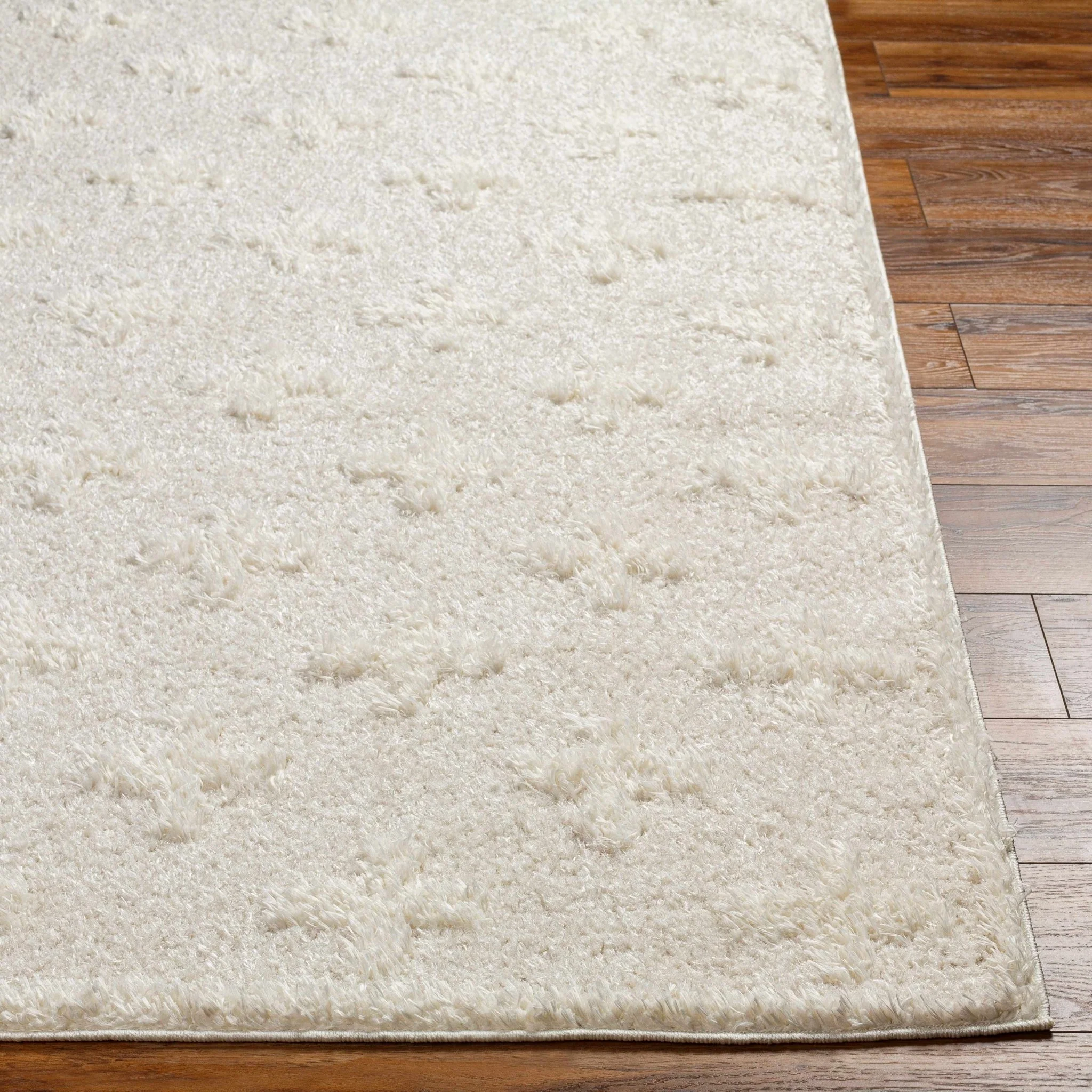 Modern Contemporary Beige Geometric pattern Machine Woven Area Rug - Image 7