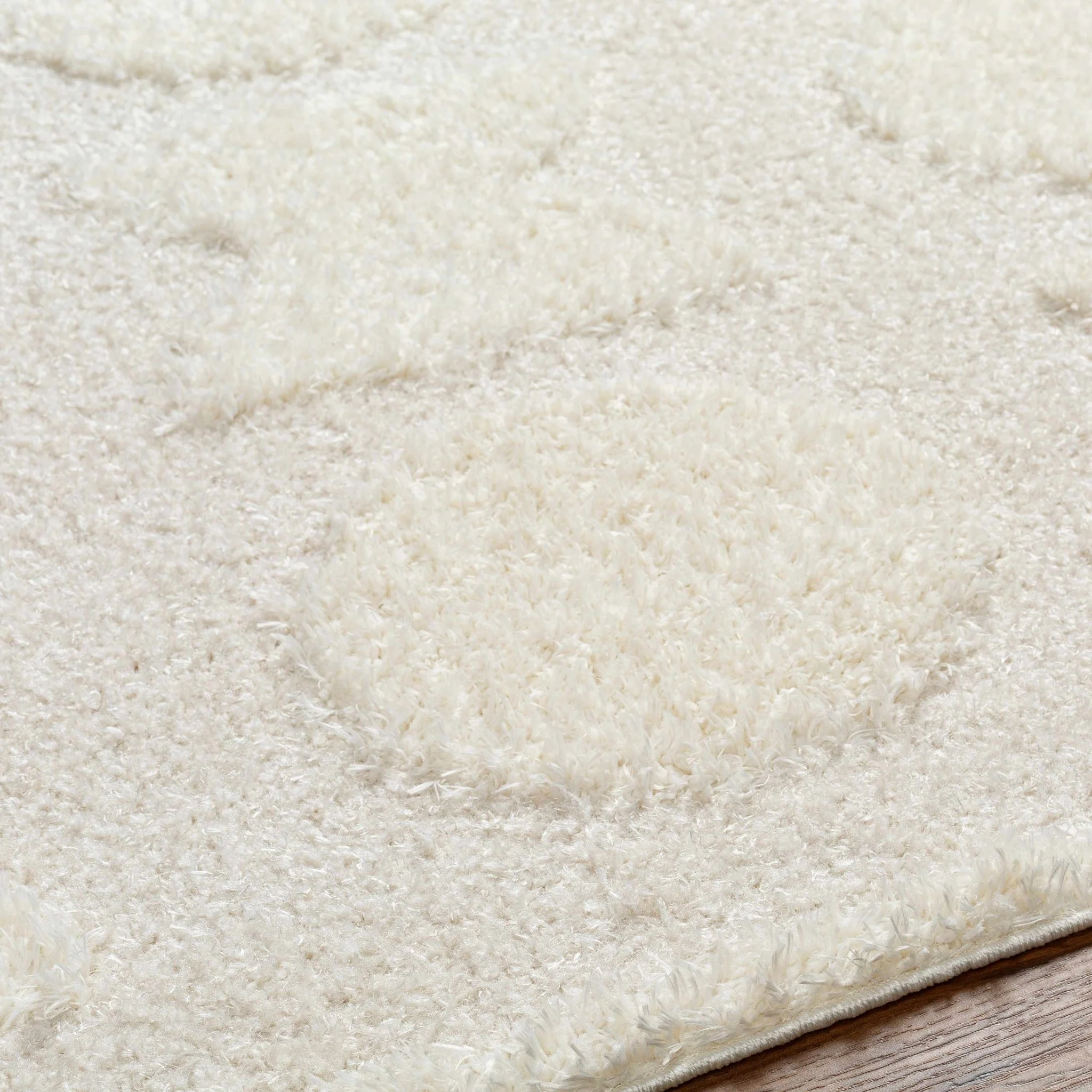 Modern Contemporary Ivory Machine Woven Area Rug - Image 6