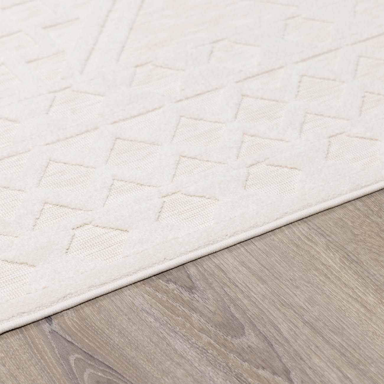 Modern Plumtree Off-White Machine Woven Outdoor Rug - Image 10