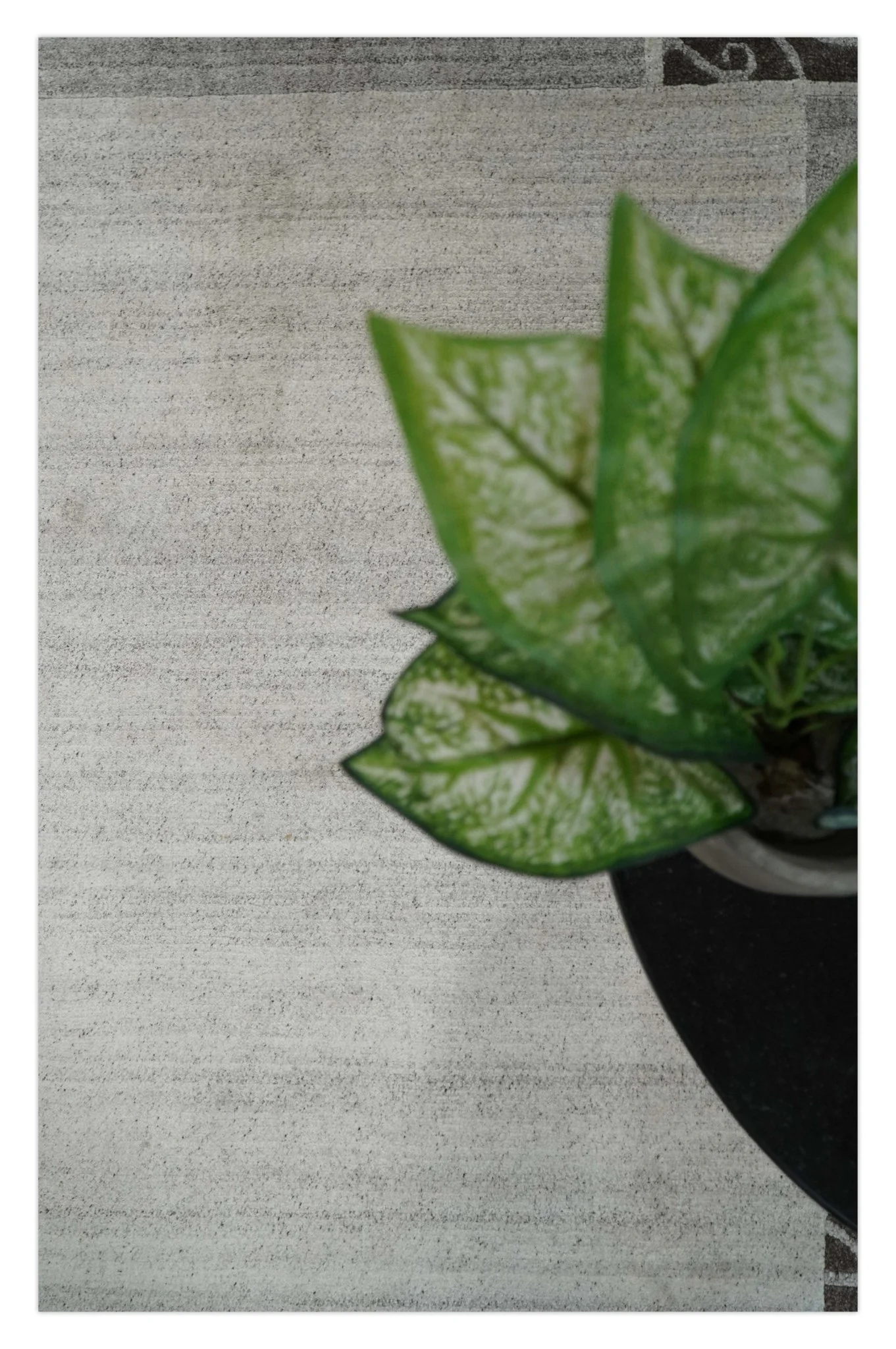 Modern Scandinavian 4.7x6.5 Brown and Silver Wool Hand Woven Area Rug | HL47 - Image 9