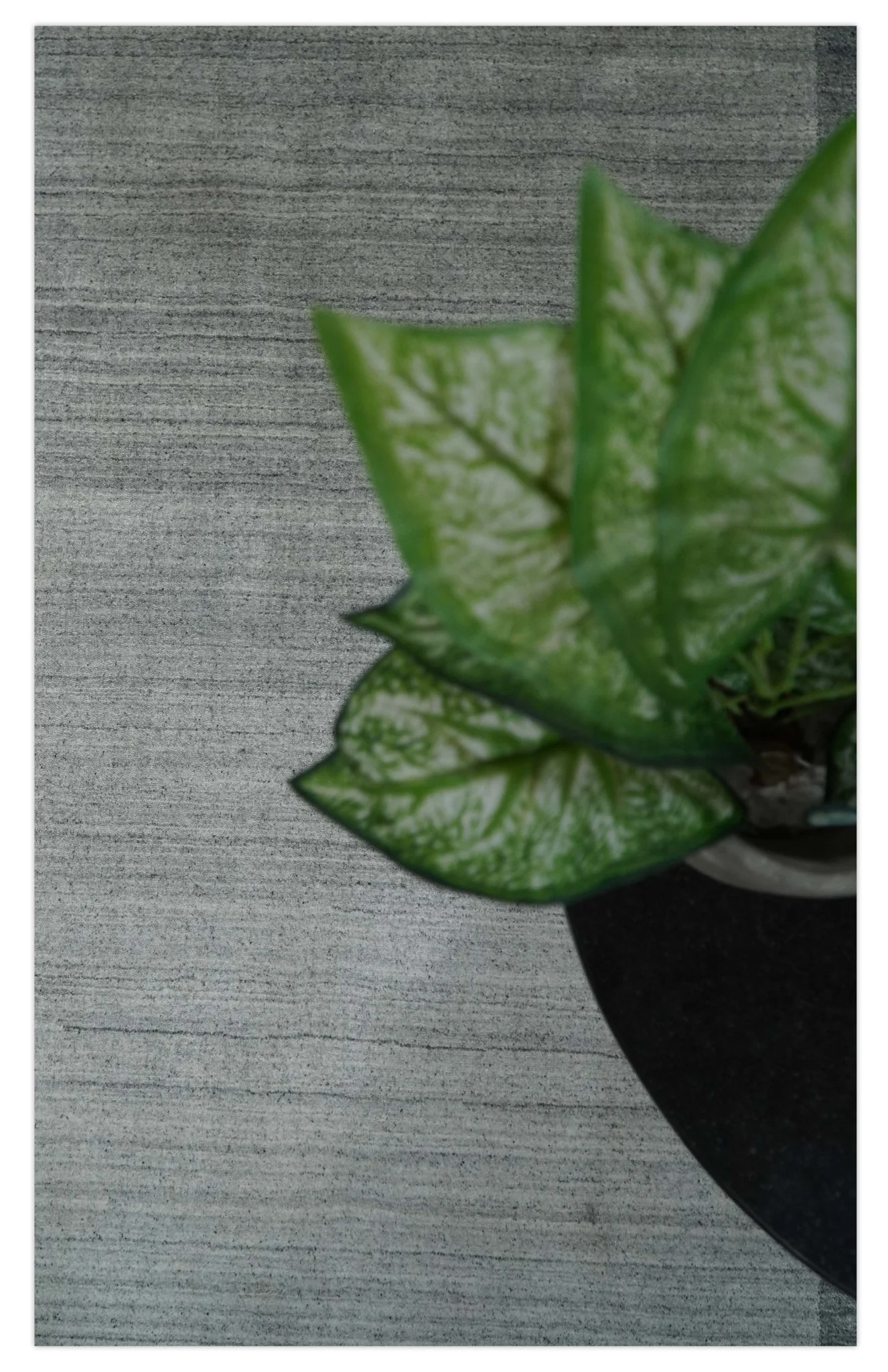 Modern Scandinavian 5x6.5 Gray and Silver Blended Wool Hand Woven Area Rug | HL48 - Image 8
