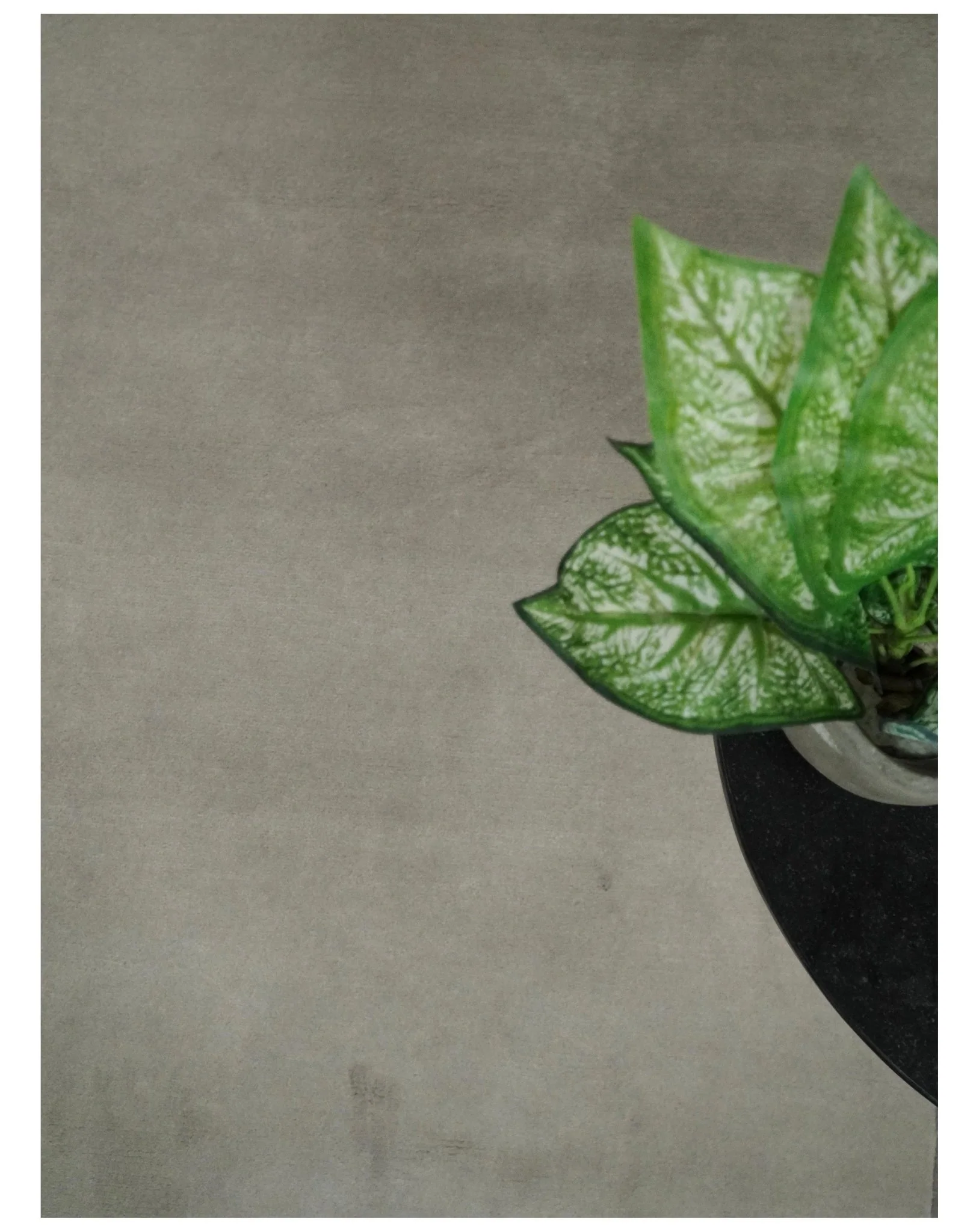 Modern Scandinavian 6x8 Silver and Charcoal Wool Hand Woven Area Rug | HL9 - Image 10