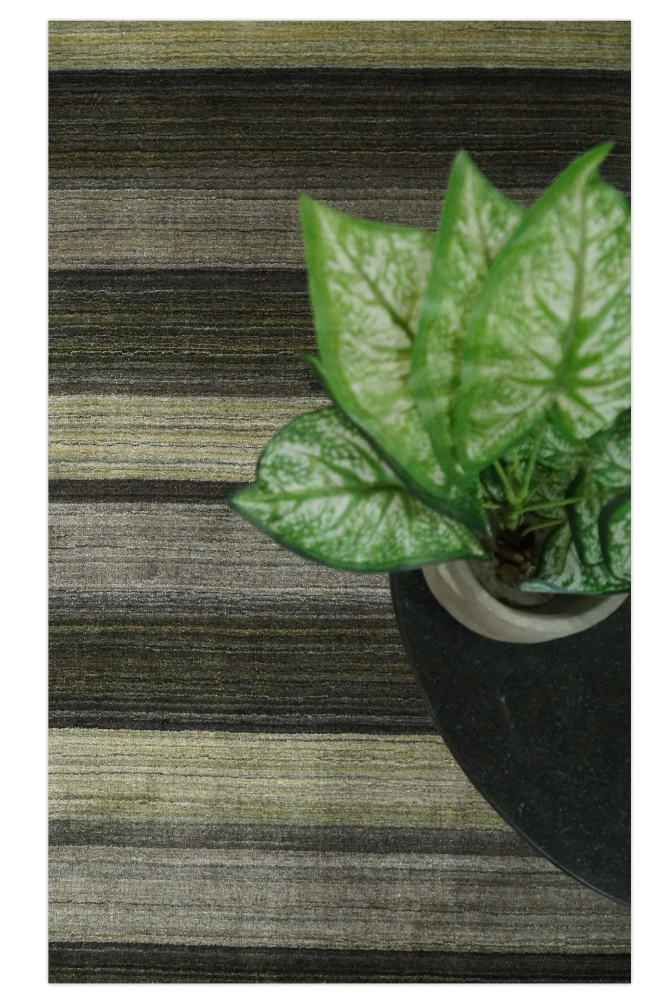 Modern Scandinavian Stripes 5x7 Antique Moss Green and Gray Wool Hand Woven Area Rug | HL20 - Image 8