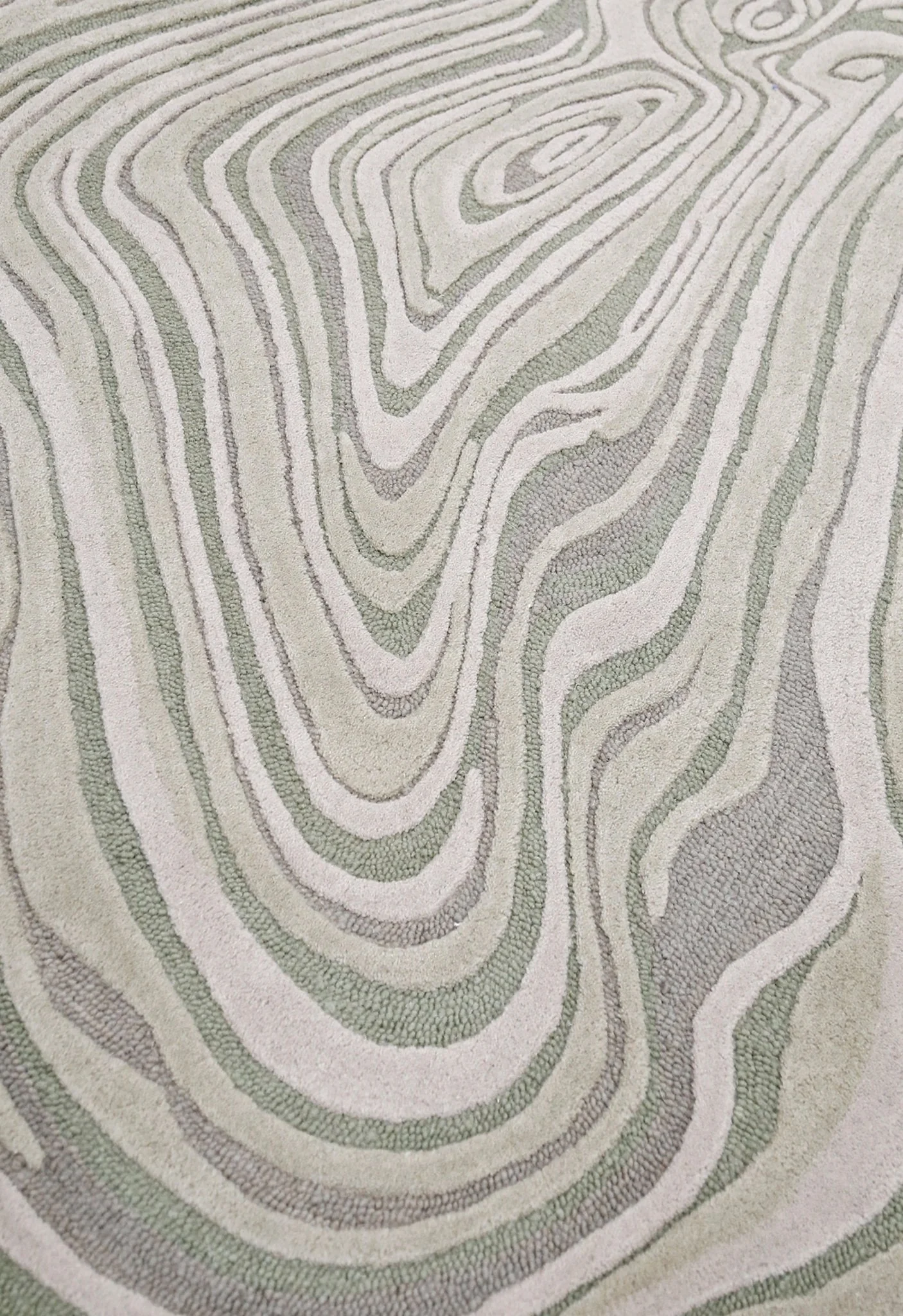 Fossil Modern Style Ivory Hand Tufted 5x7 Wool Rug - Image 5