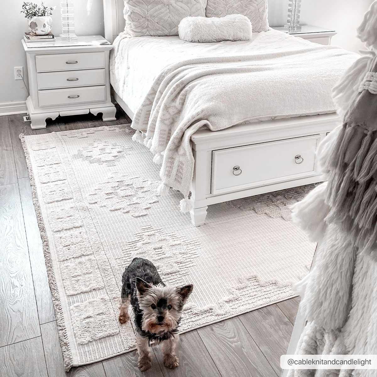 Moroccan Bohemian Chic Style Ivory and Beige High & Low Pile Area Rug - Image 10
