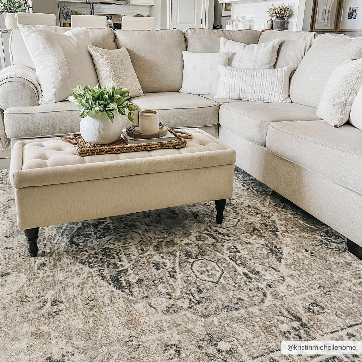Traditional Oriental Light Brown and Blue and Medallion Design Low pile Area Rug - Image 2