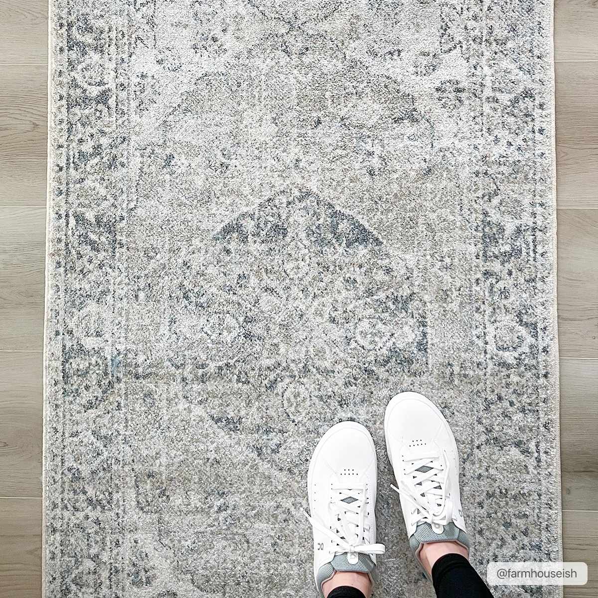 Traditional Oriental Light Brown and Blue and Medallion Design Low pile Area Rug - Image 3