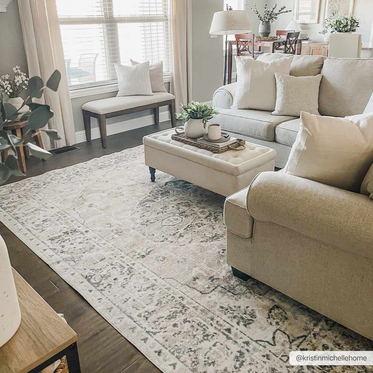 Traditional Oriental Light Brown and Blue and Medallion Design Low pile Area Rug - Image 5