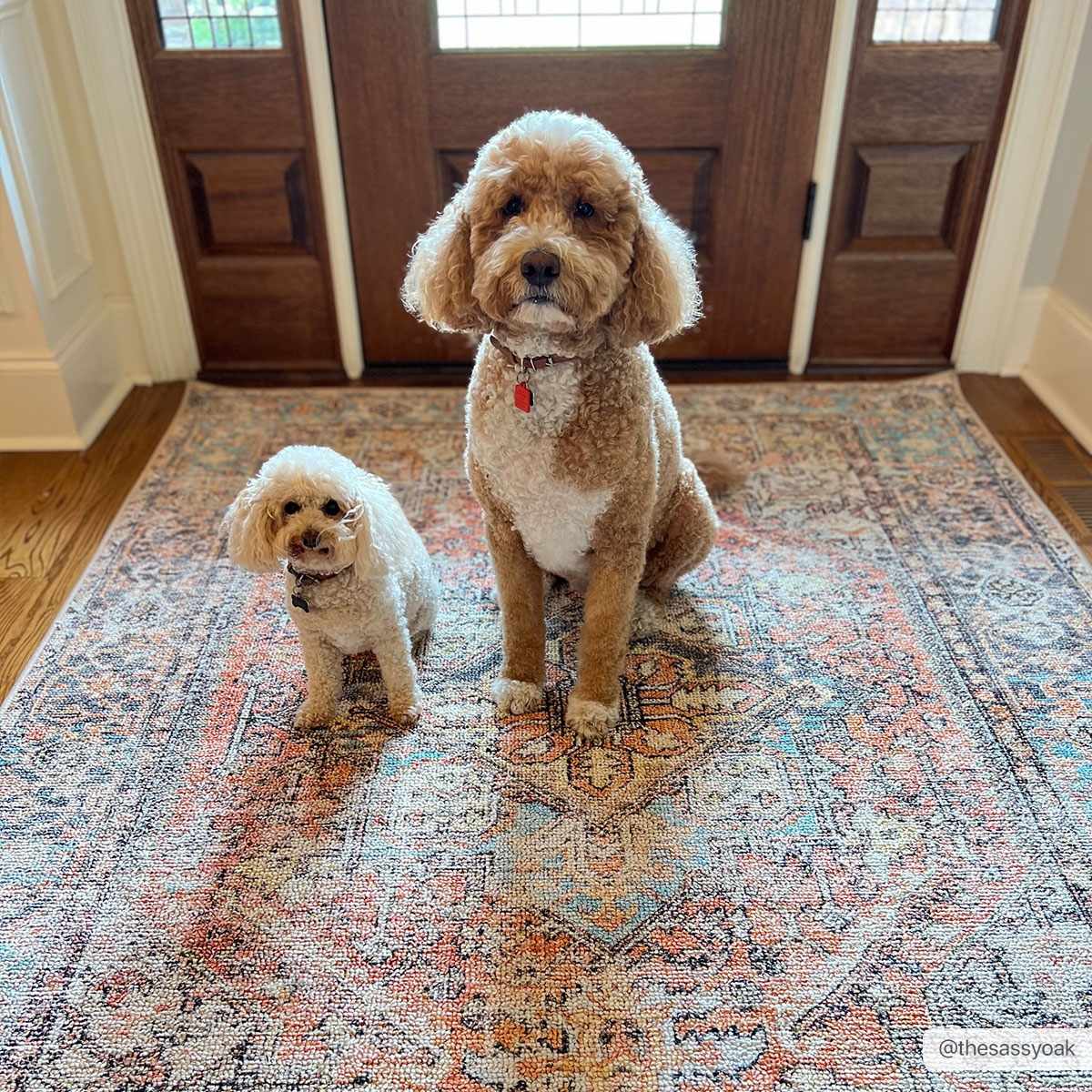 Antique style Rust, Blue, Beige and Charcoal Traditional Heriz Washable Area Rug - Image 3