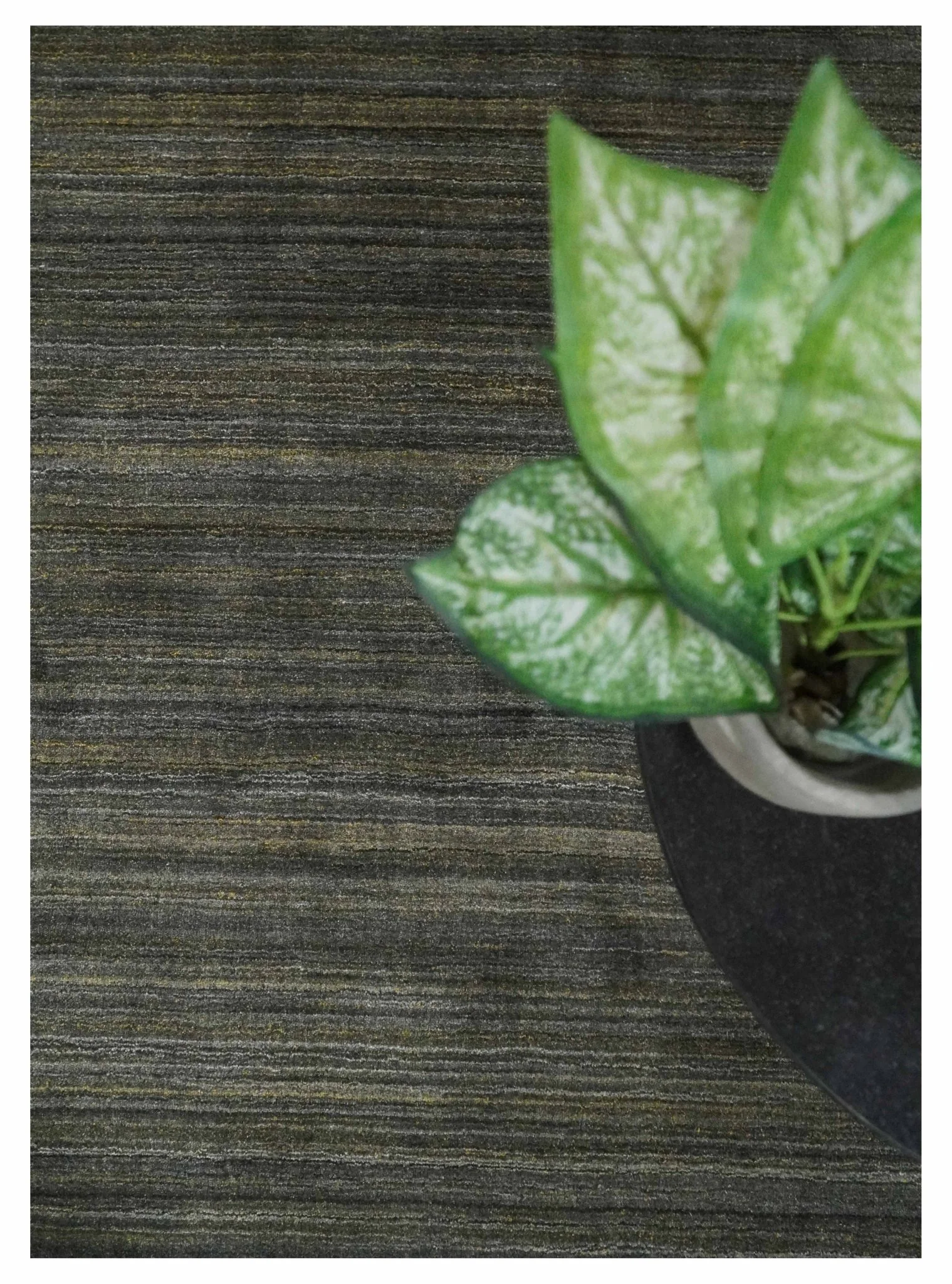 Shaded Olive and Gray Scandinavian 5x7 Blended bamboo Silk Flatwoven Area Rug | HL43 - Image 8