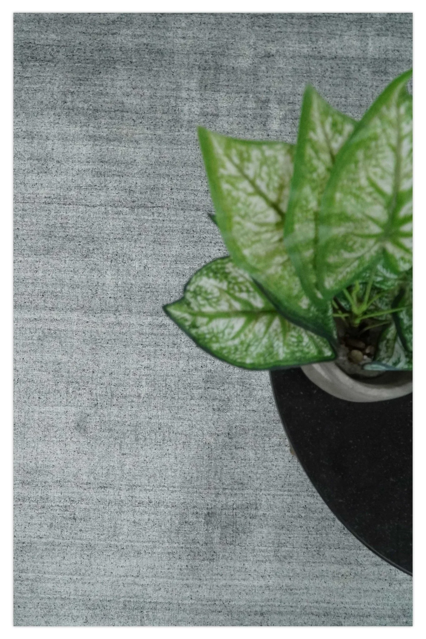 Shaded Silver Scandinavian 5x7 Blended Wool Flatwoven Area Rug, Dinning, Kids Rug | HL29 - Image 10