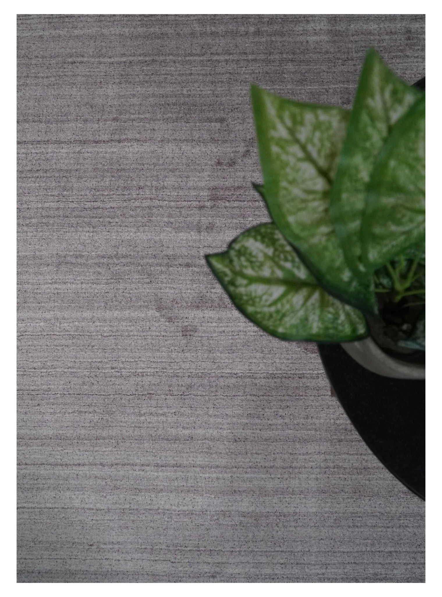 Shaded Solid Lavender purple Scandinavian 5x7 Blended bamboo Silk Flatwoven Area Rug | HL40 - Image 10