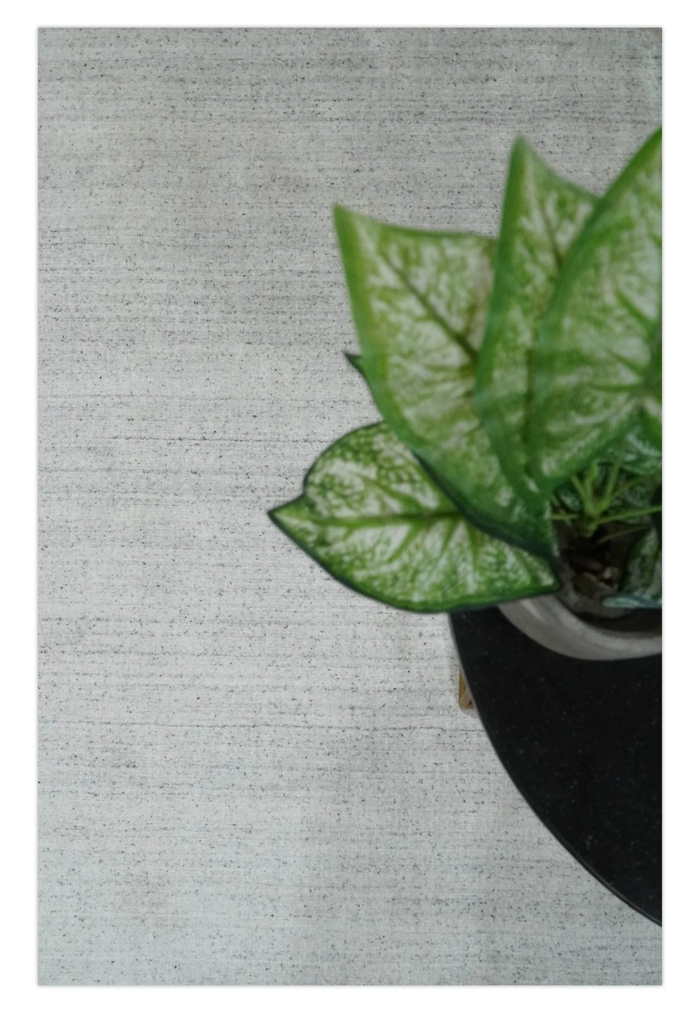 Shaded Solid Silver and White Scandinavian 5x7 Blended Wool Flatwoven Area Rug | HL25 - Image 9