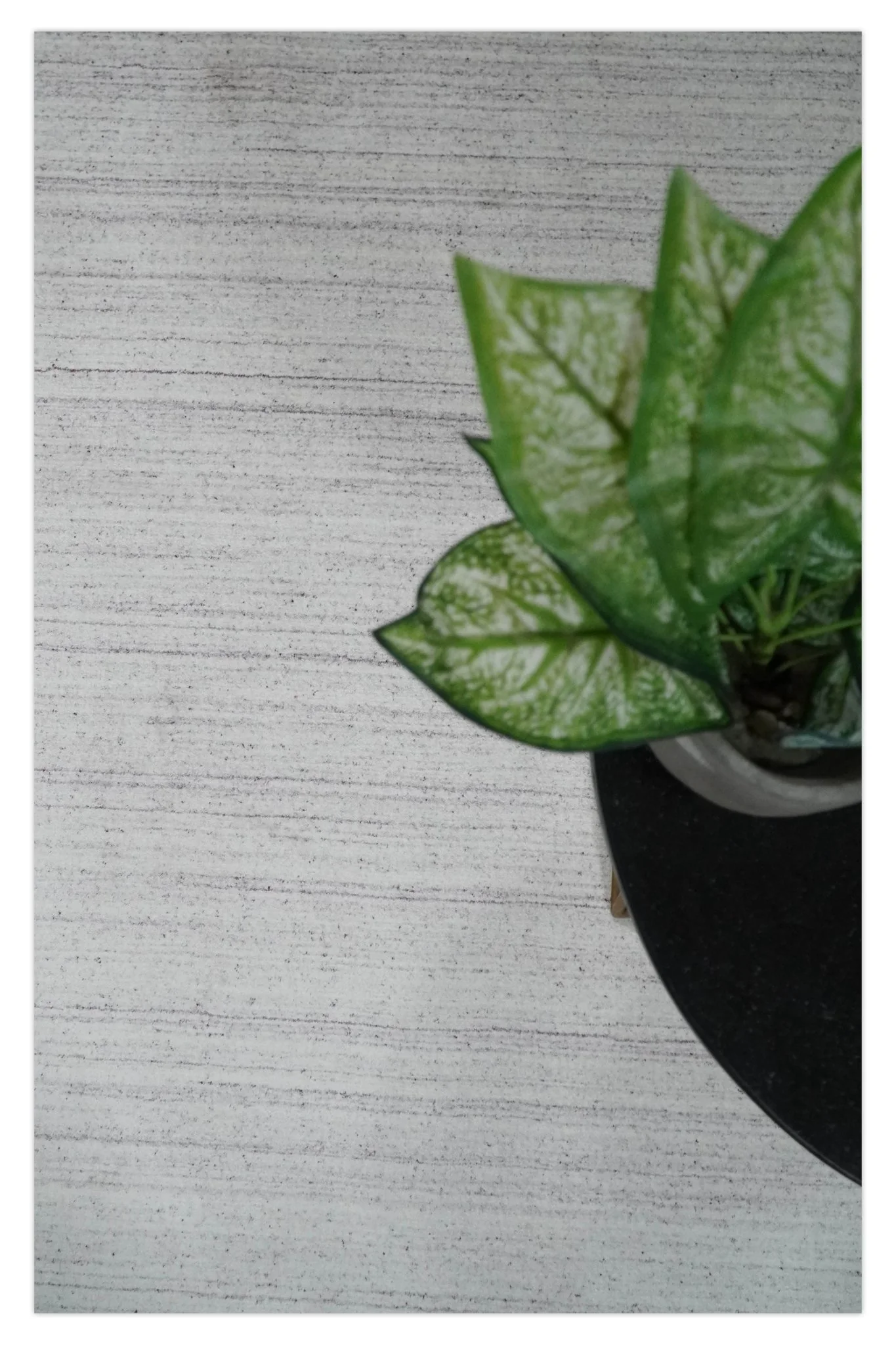 Shaded Solid Ivory and Purple Scandinavian 5x7 Blended Wool Flatwoven Area Rug | HL27 - Image 9