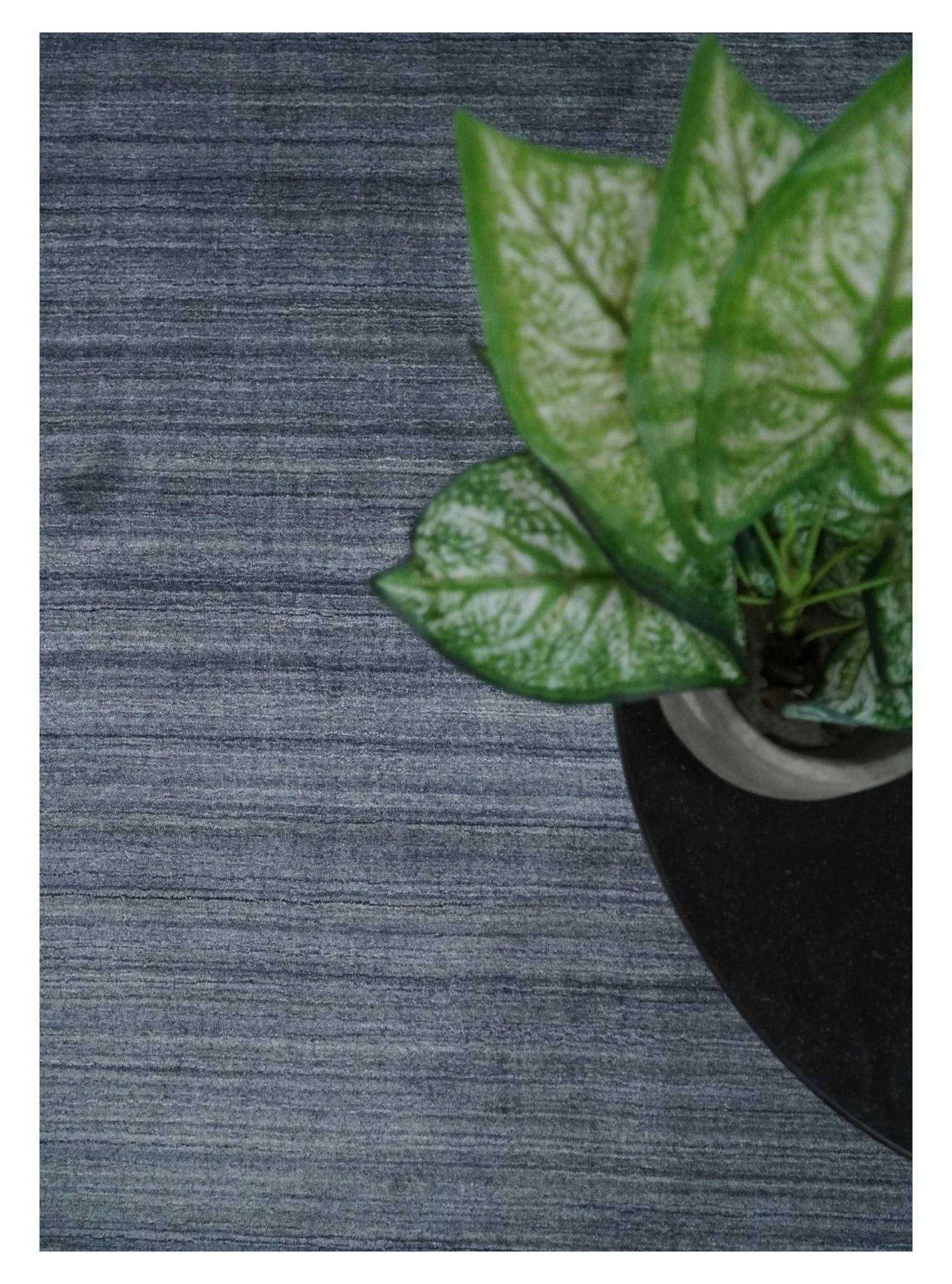 Solid Blue Scandinavian 5x7 Blended Bamboo Silk Flatwoven Area Rug, Dinning, Kids Rug | HL42 - Image 9