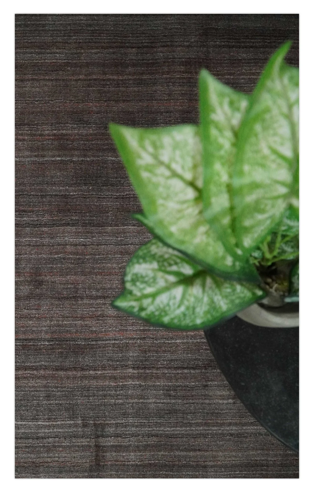 Solid Brown Scandinavian 5x7 Blended Wool Flatwoven Area Rug, Dinning, Kids Rug | HL17 - Image 10