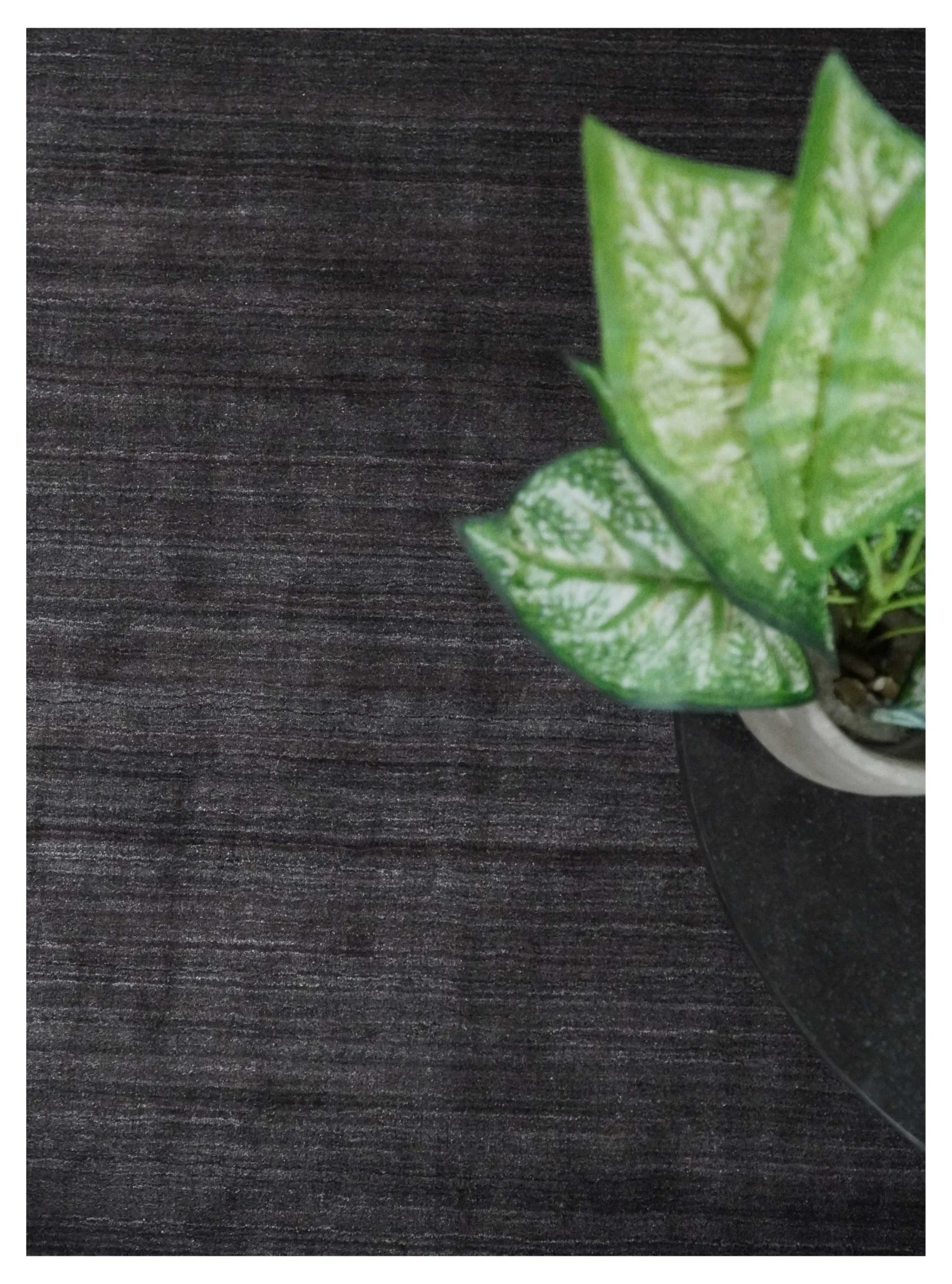 Solid Dark Purple Scandinavian 5x7 Blended Wool Flatwoven Area Rug, Dinning, Kids Rug | HL38 - Image 10