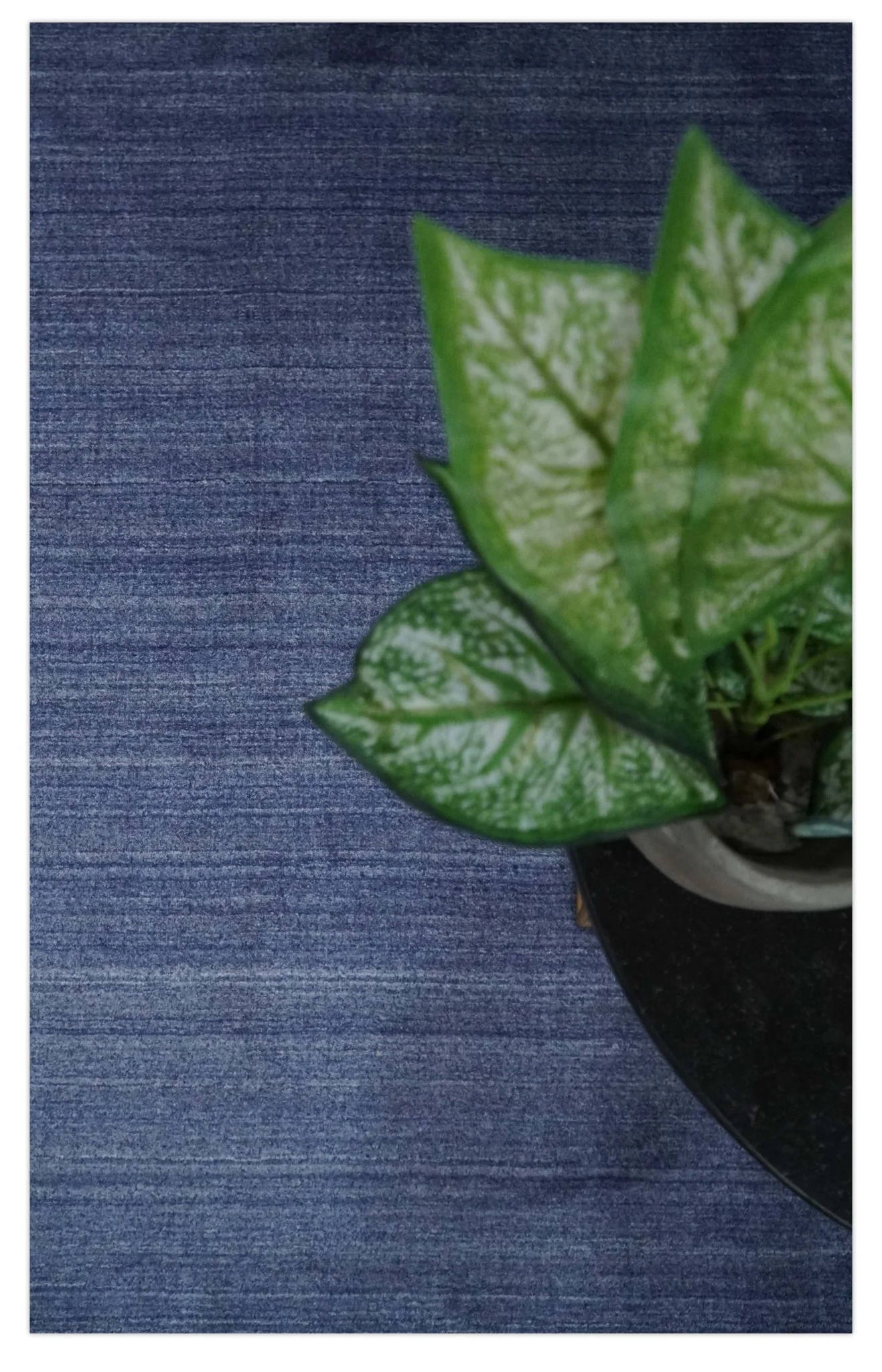 Solid Denim Blue Scandinavian 5x7 Blended Bamboo Silk Flatwoven Area Rug, Dinning, Kids Rug | HL46 - Image 8