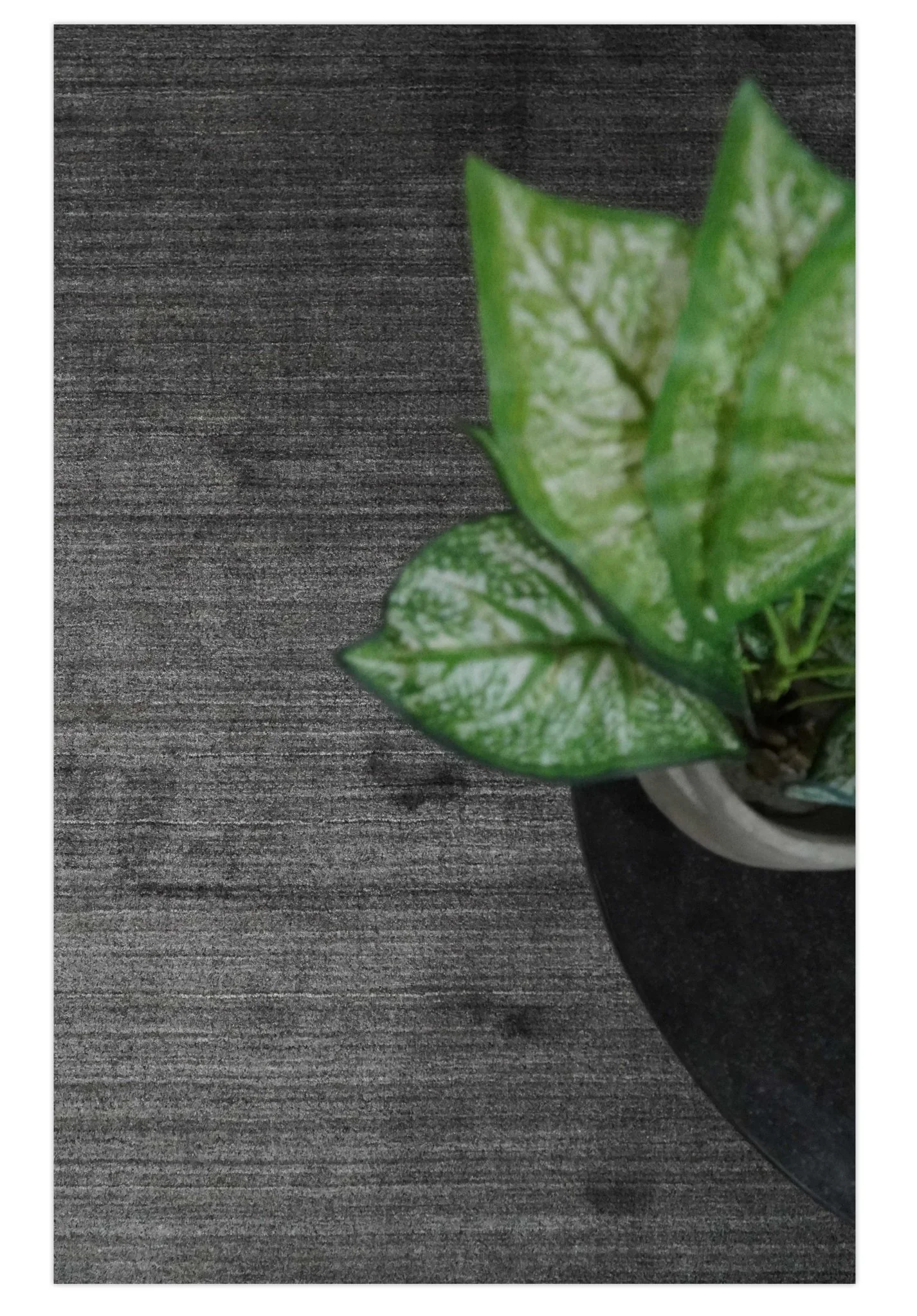 Solid Gray Scandinavian 5x7 Blended Wool Flatwoven Area Rug | HL21 - Image 10