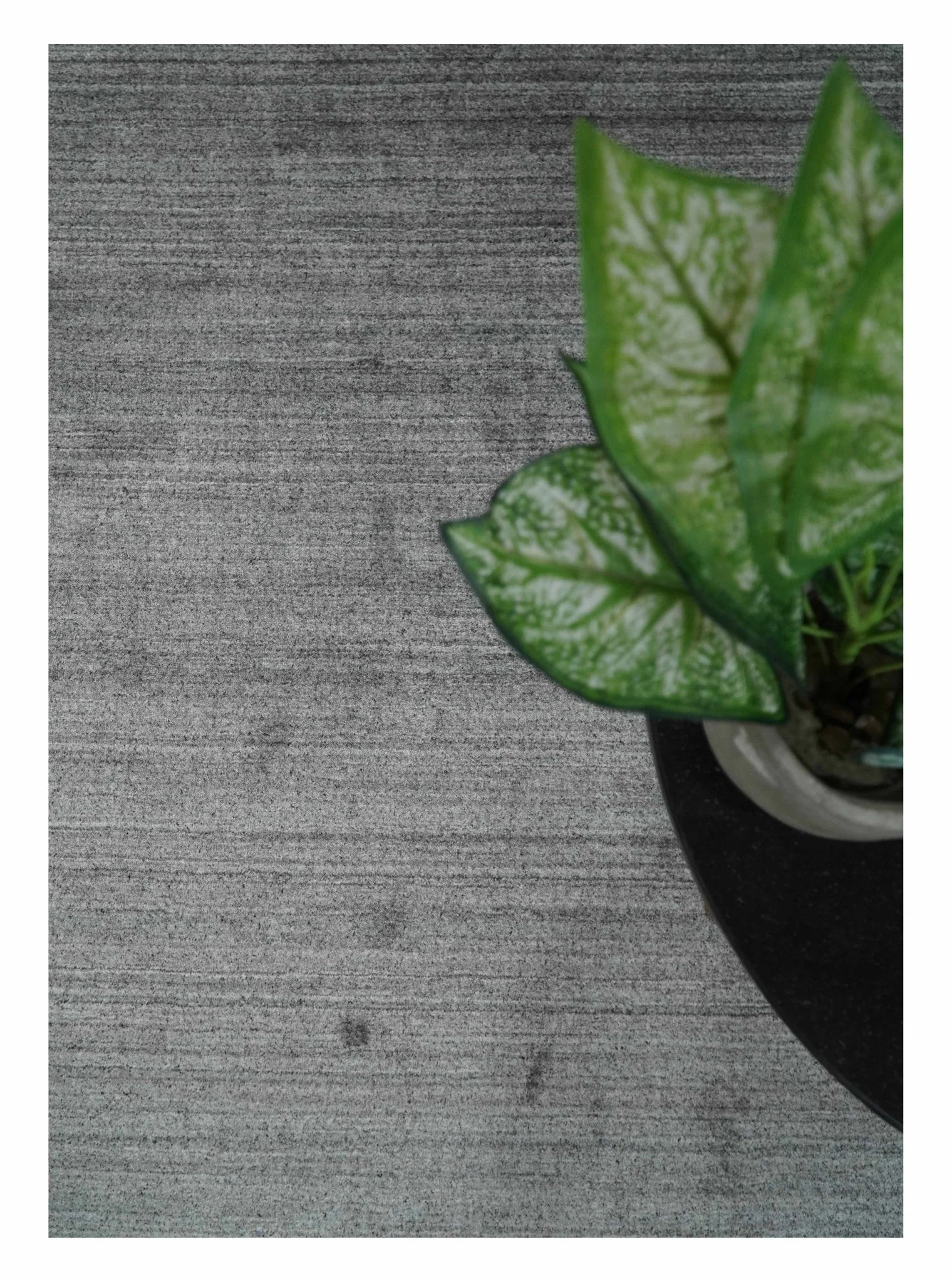 Solid Gray Shaded Scandinavian 5x7 Blended Wool Flatwoven Area Rug | HL37 - Image 8