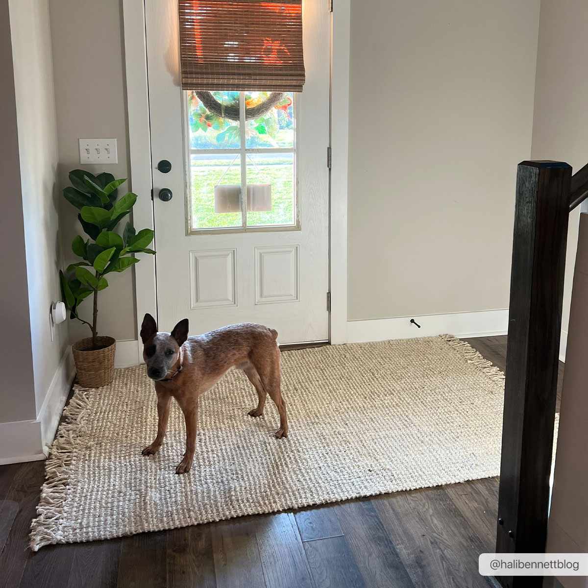 Contemporary Solid Hand Woven Tan Natural Fiber Jute Multi Size Area Rug - Image 13