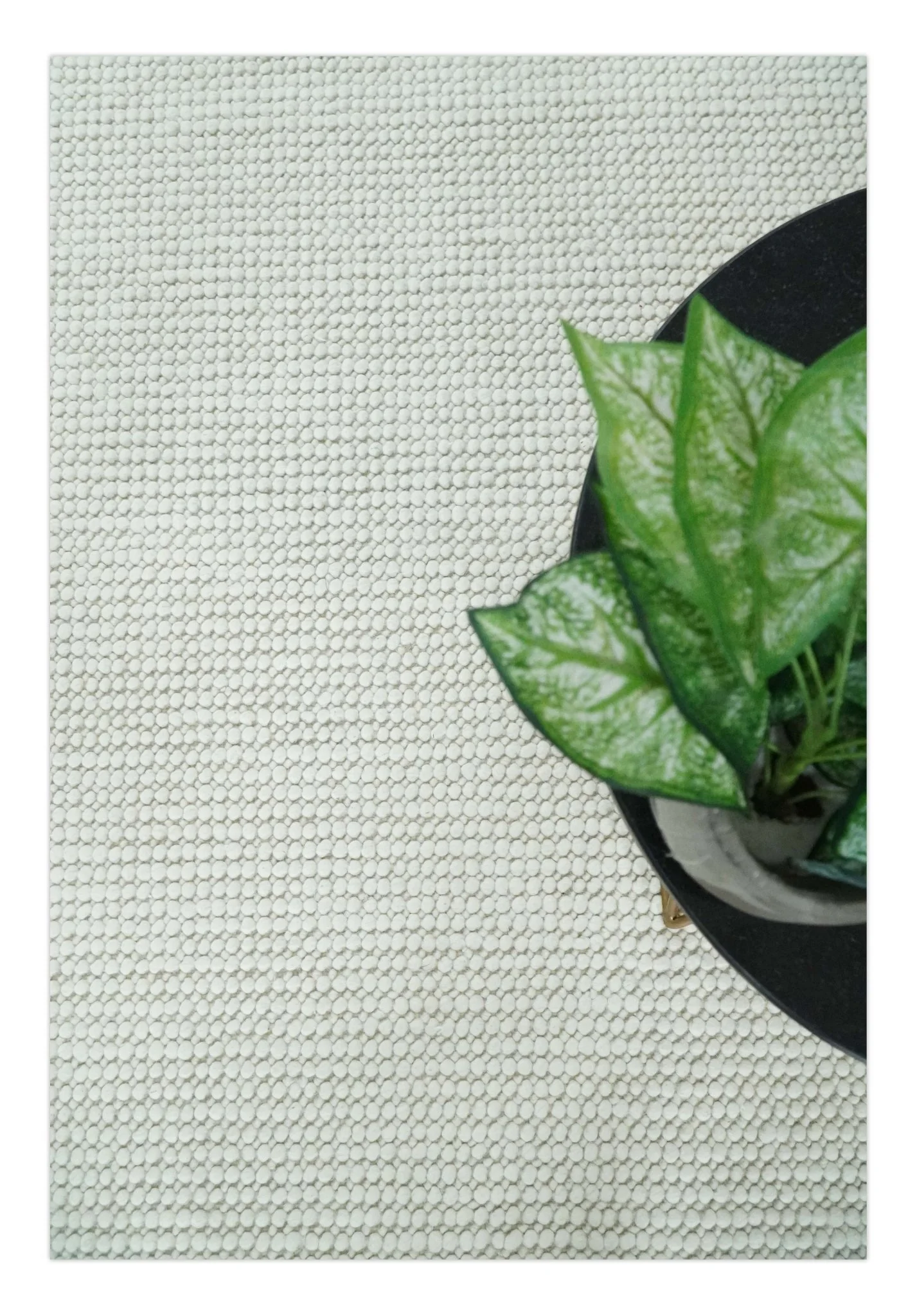 Solid Ivory Chunky Handwoven Contemporary Wool Area Rug - Image 5