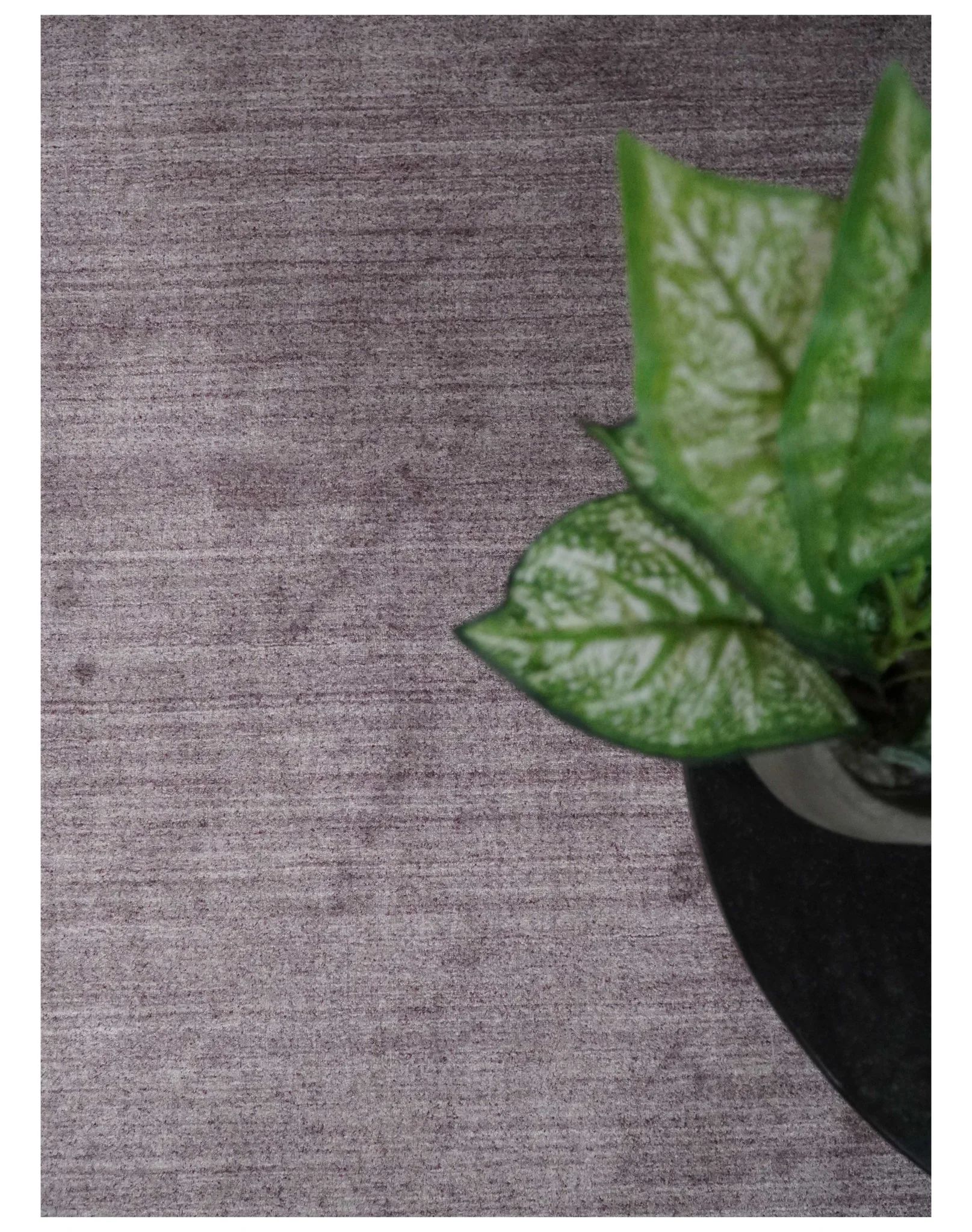Solid Lavender Purple Scandinavian 5x7 Blended Wool Flatwoven Area Rug | HL12 - Image 10