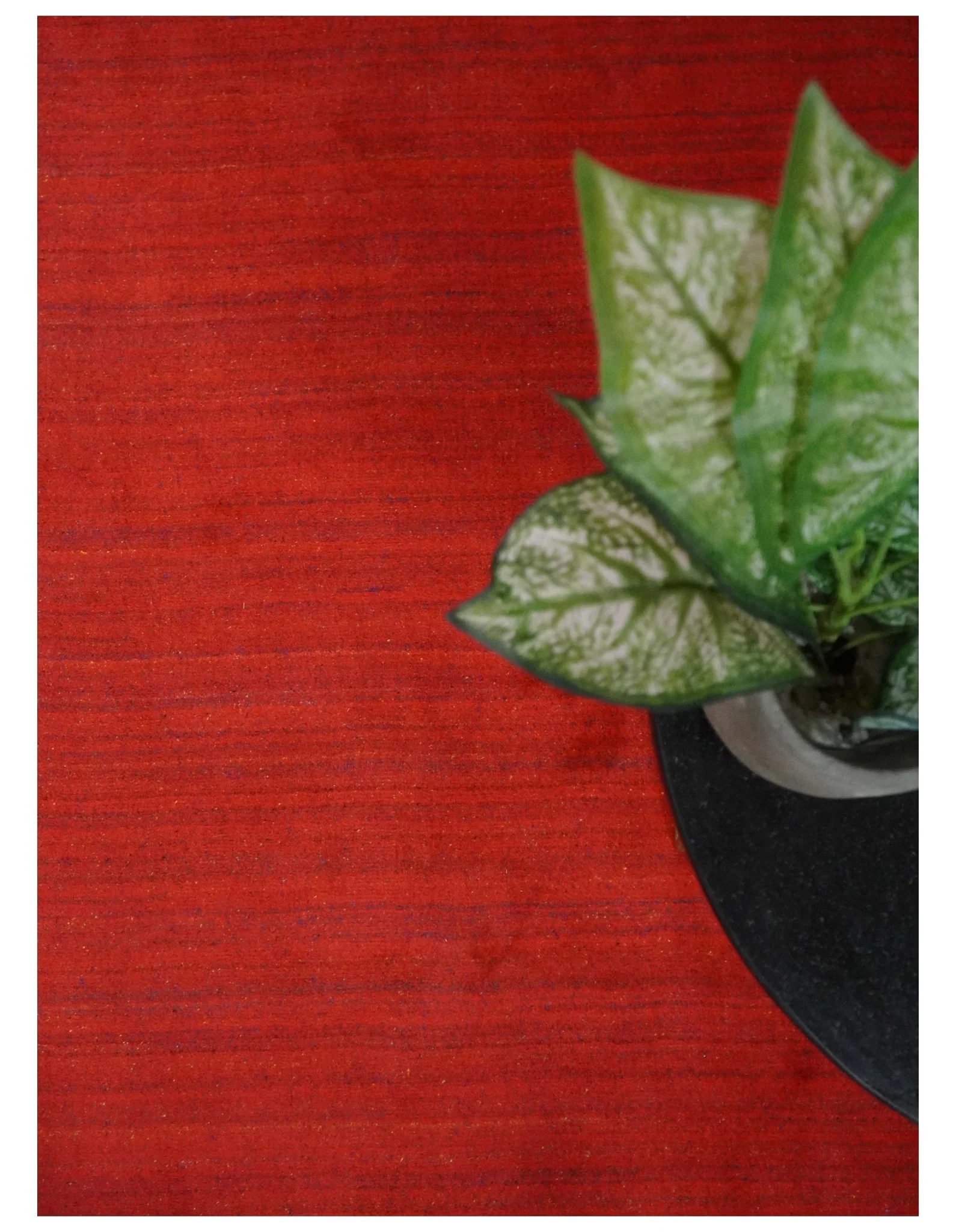 Solid Rust Scandinavian 5x7 Blended Wool Flatwoven Area Rug, Dinning, Kids Rug | HL15 - Image 10