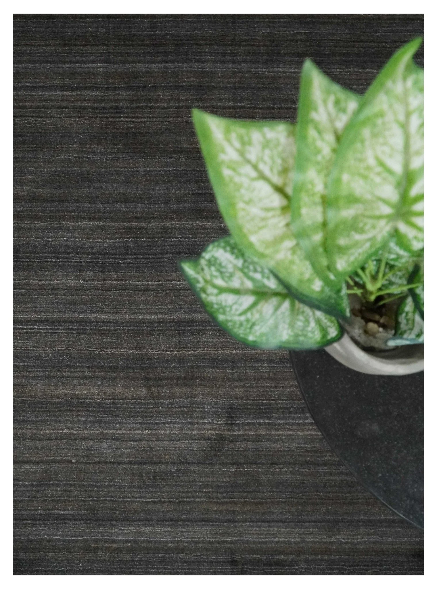 Solid Shaded Charcoal Shaded Scandinavian 5x7 Blended Wool Flatwoven Area Rug | HL34 - Image 11